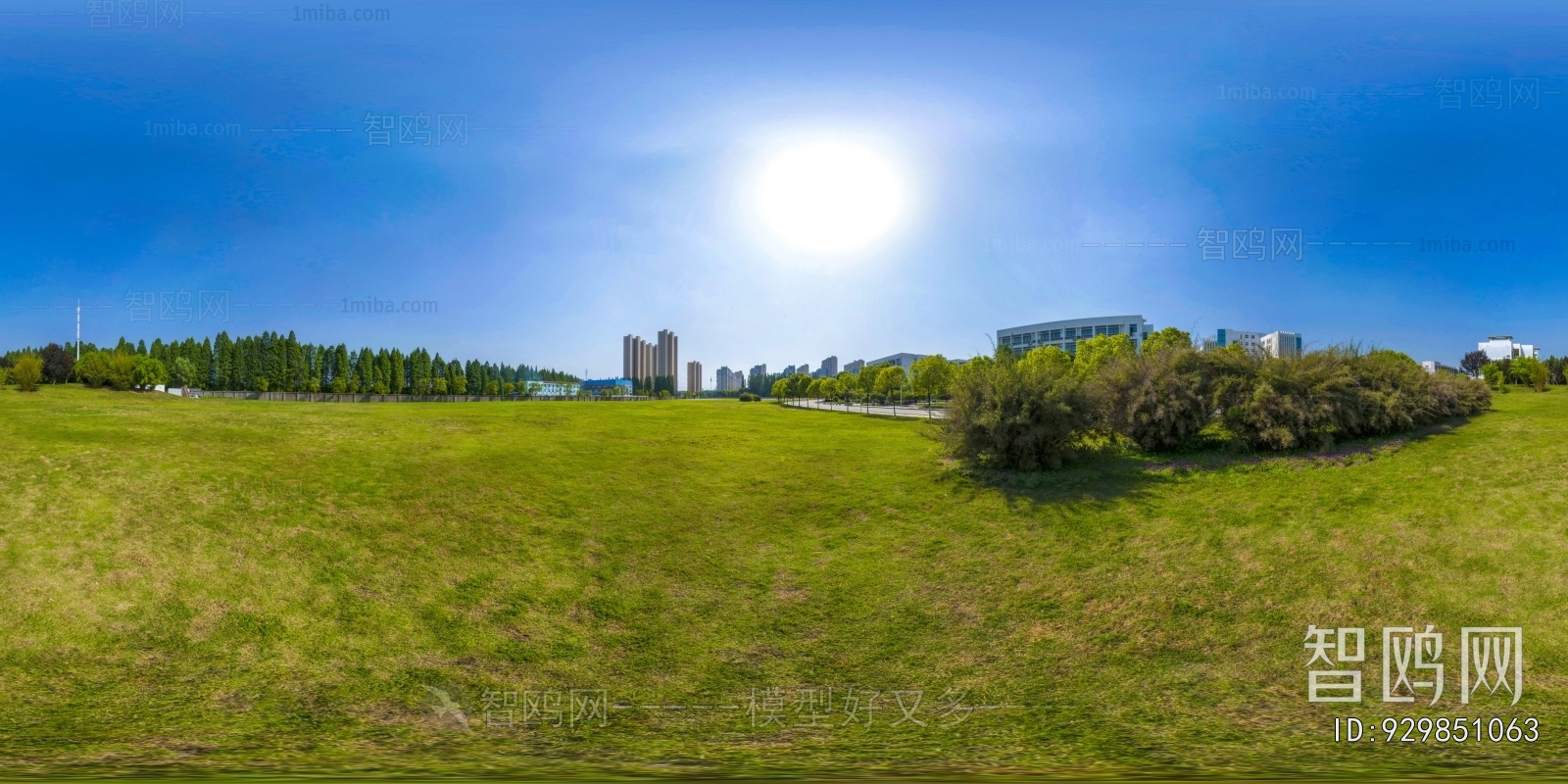 HDR绿茵树林休闲草地全景