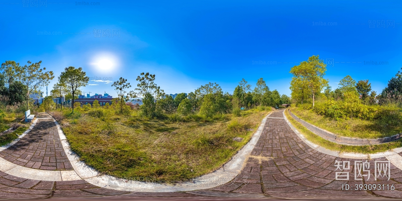 HDR绿茵树林生态公园全景