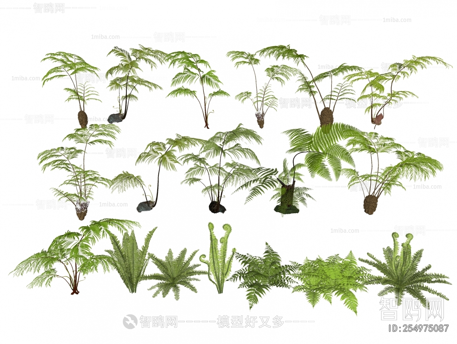 现代蕨类植物盆栽3D模型下载