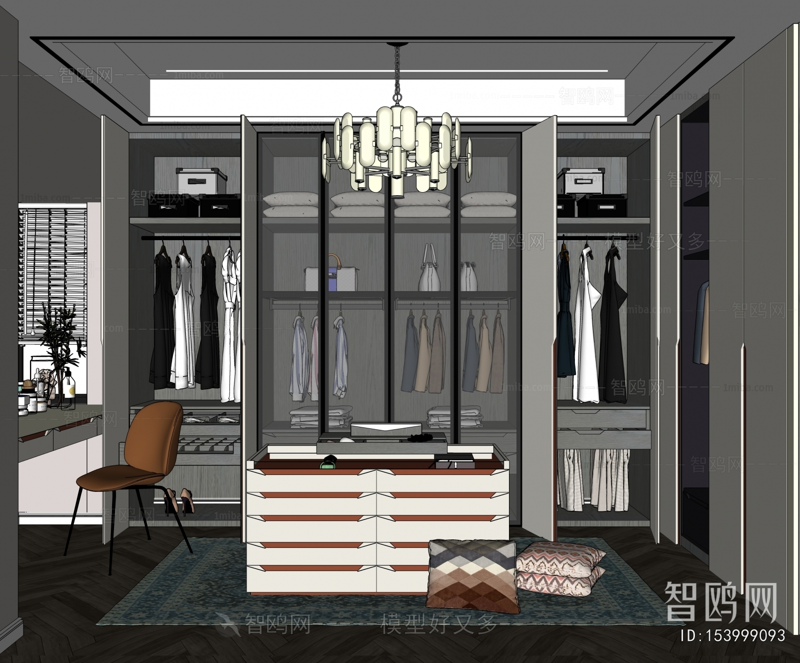 Modern Clothes Storage Area