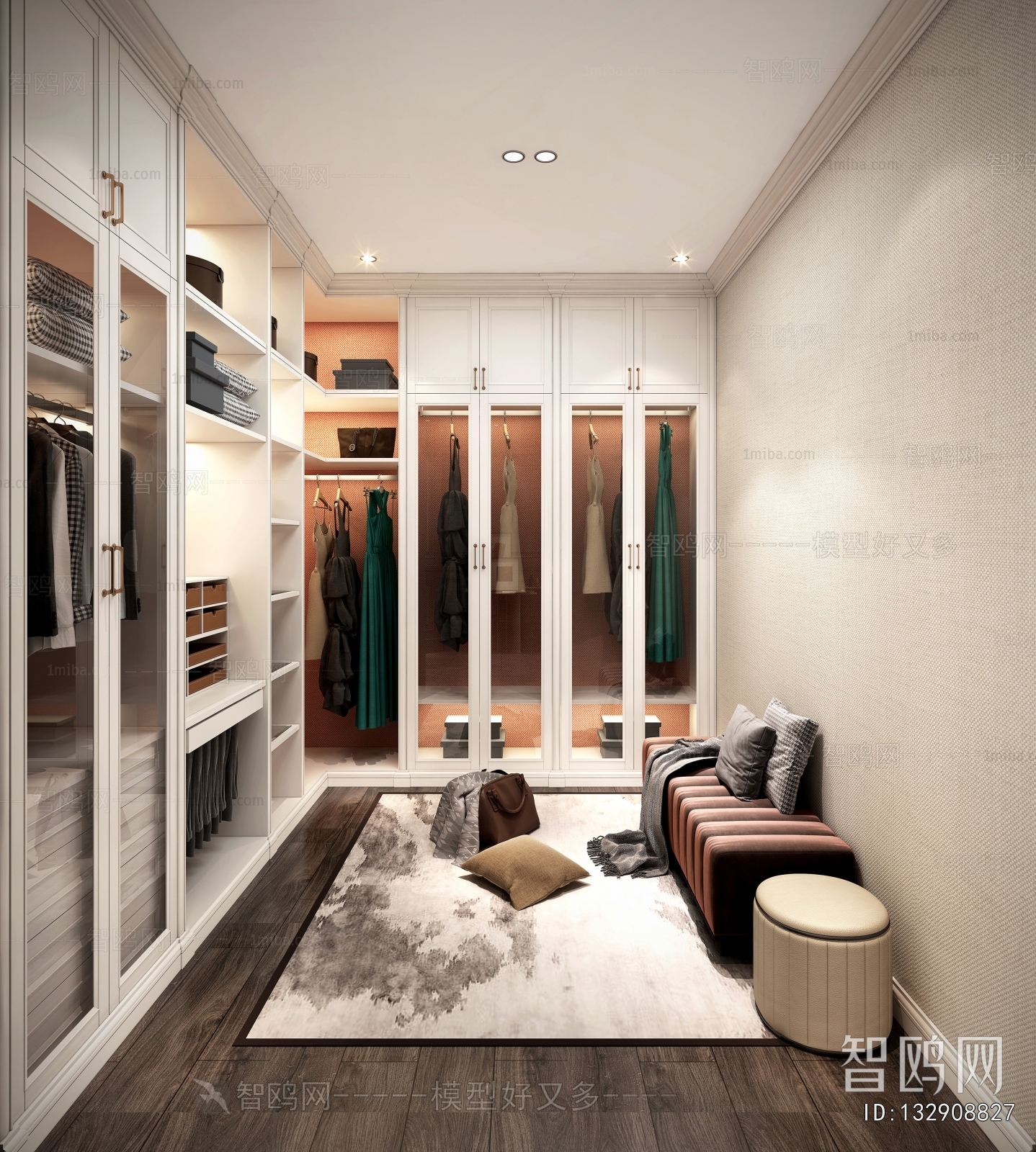 Modern Clothes Storage Area