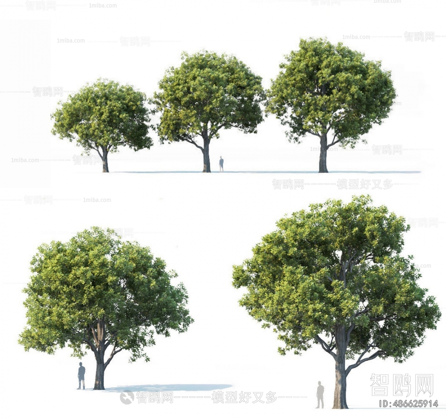 Modern Tree