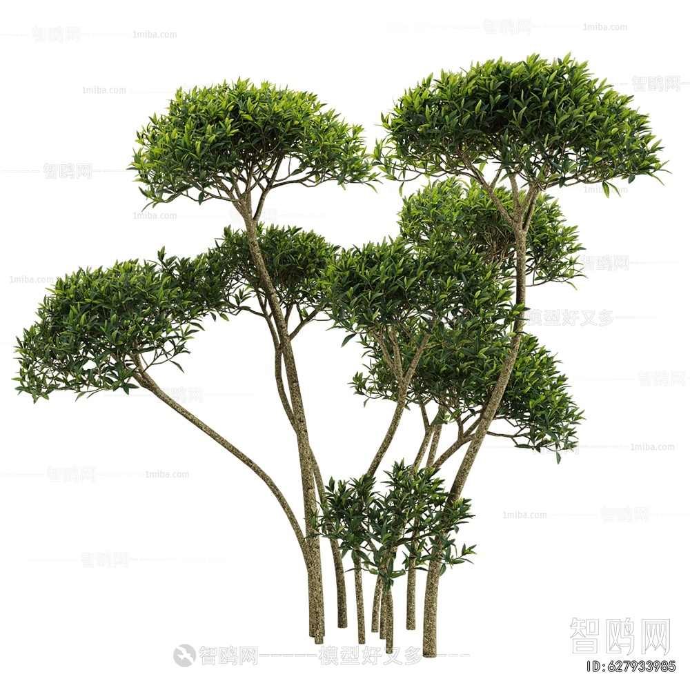现代景观树3D模型下载