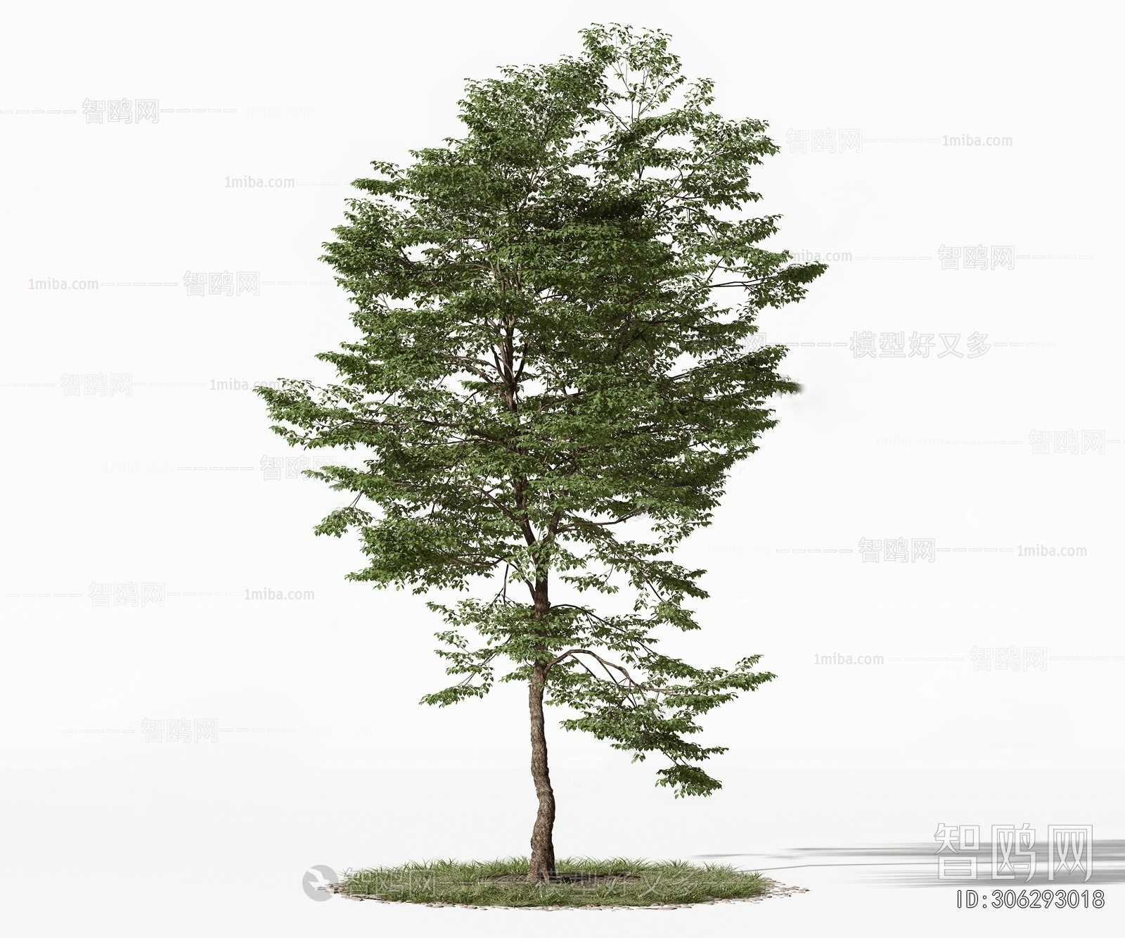 现代景观树3D模型下载