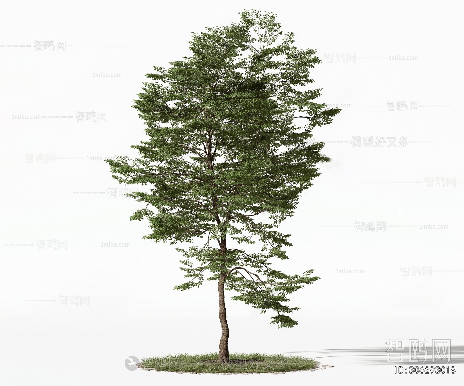 Modern Tree