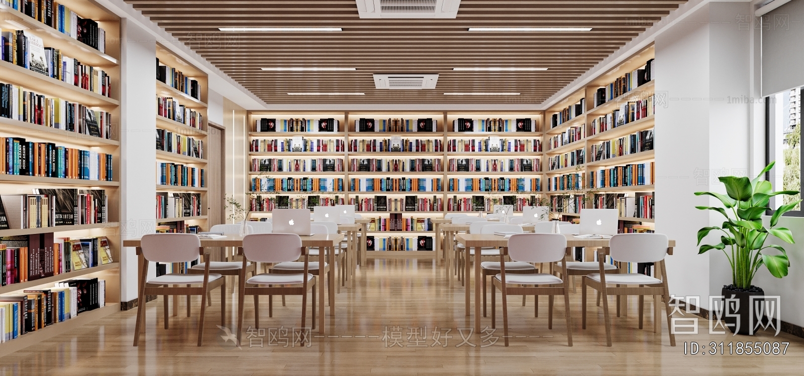 现代图书阅览室