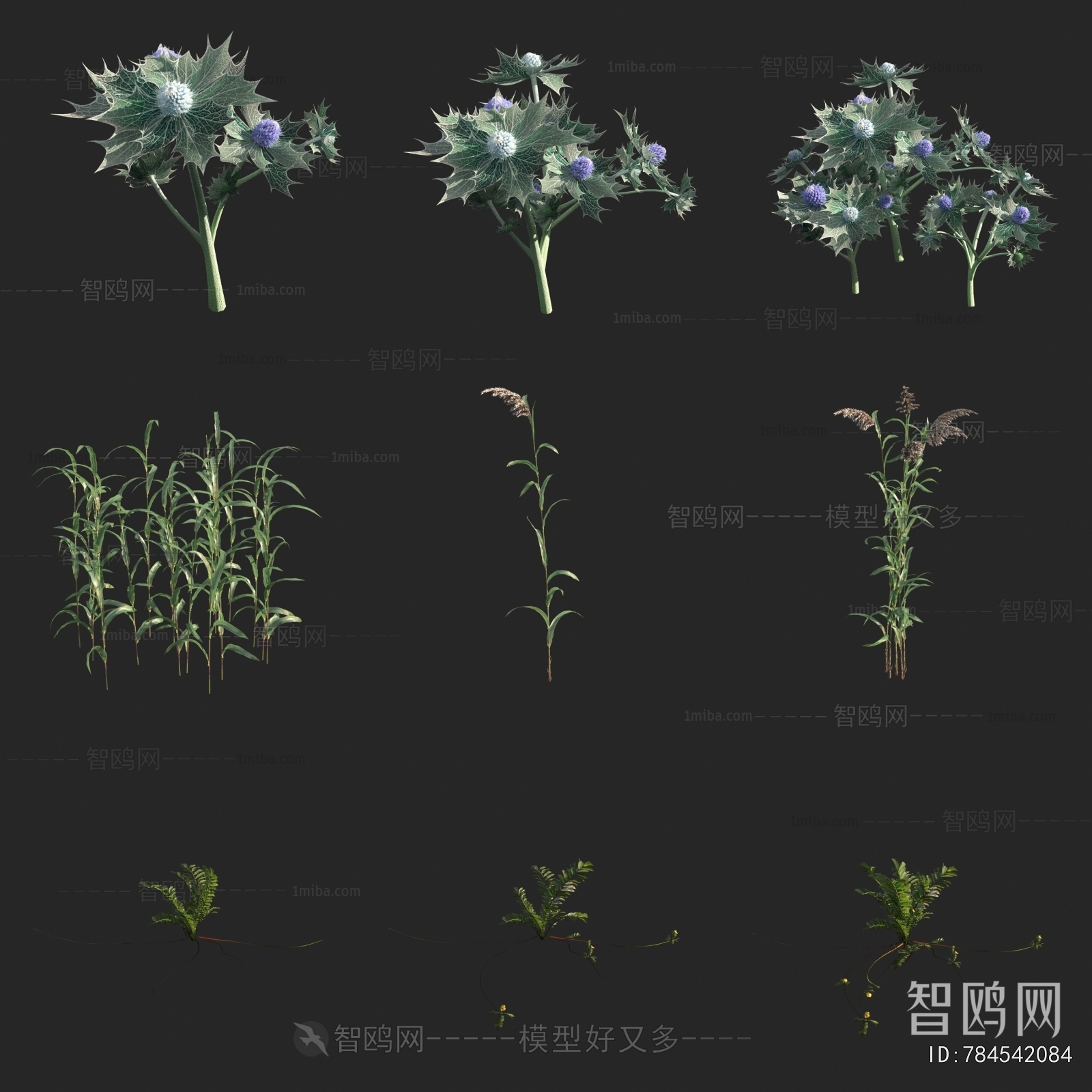 现代海冬青 芦苇 蕨麻花草