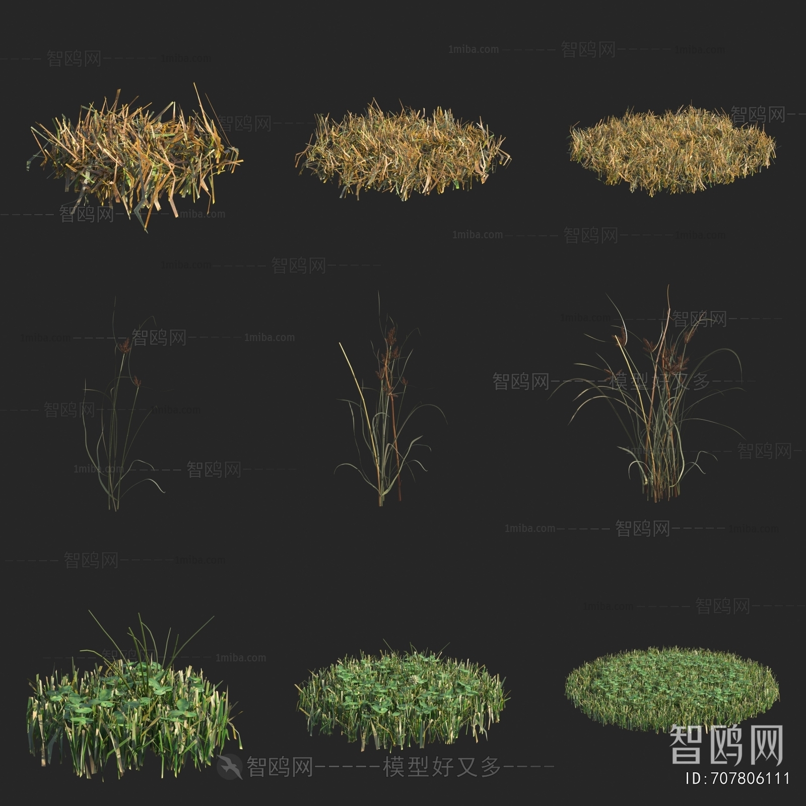 现代草地 三棱草 花草