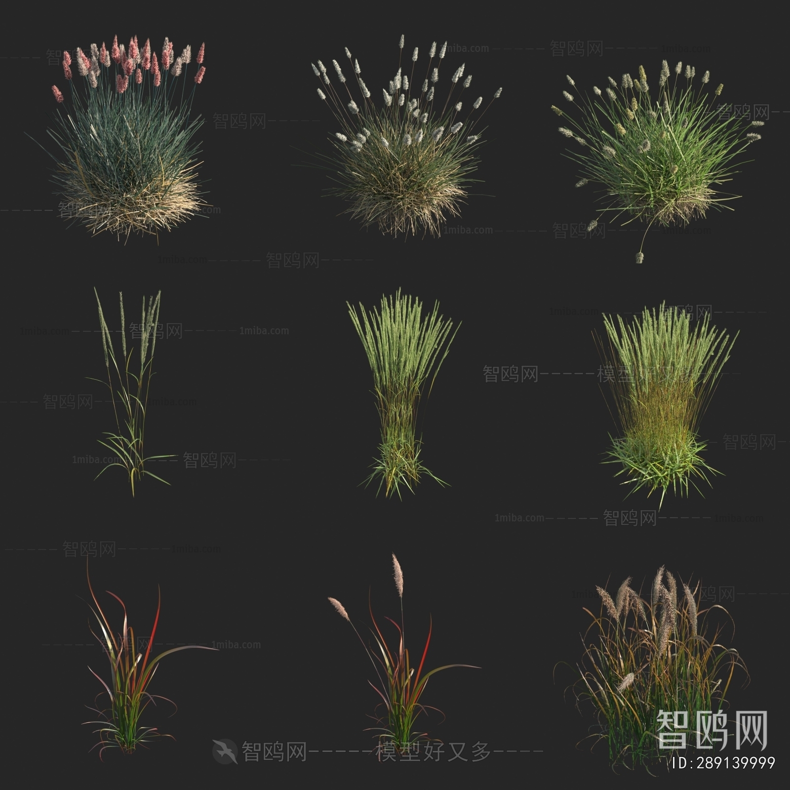 Modern Flowers And Grass