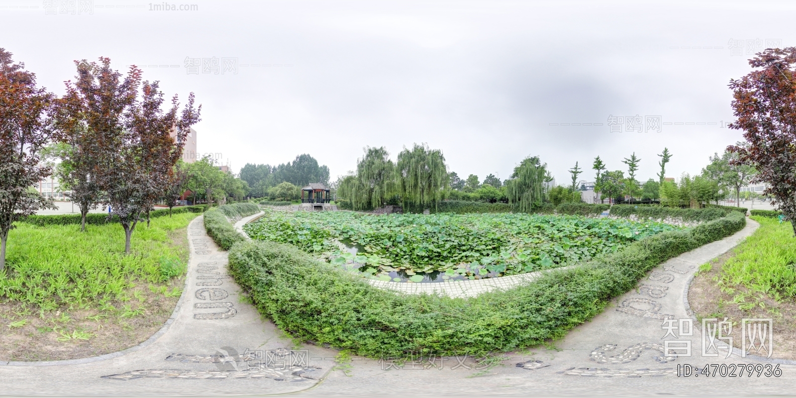 HDR绿茵小道树林休闲河畔全景