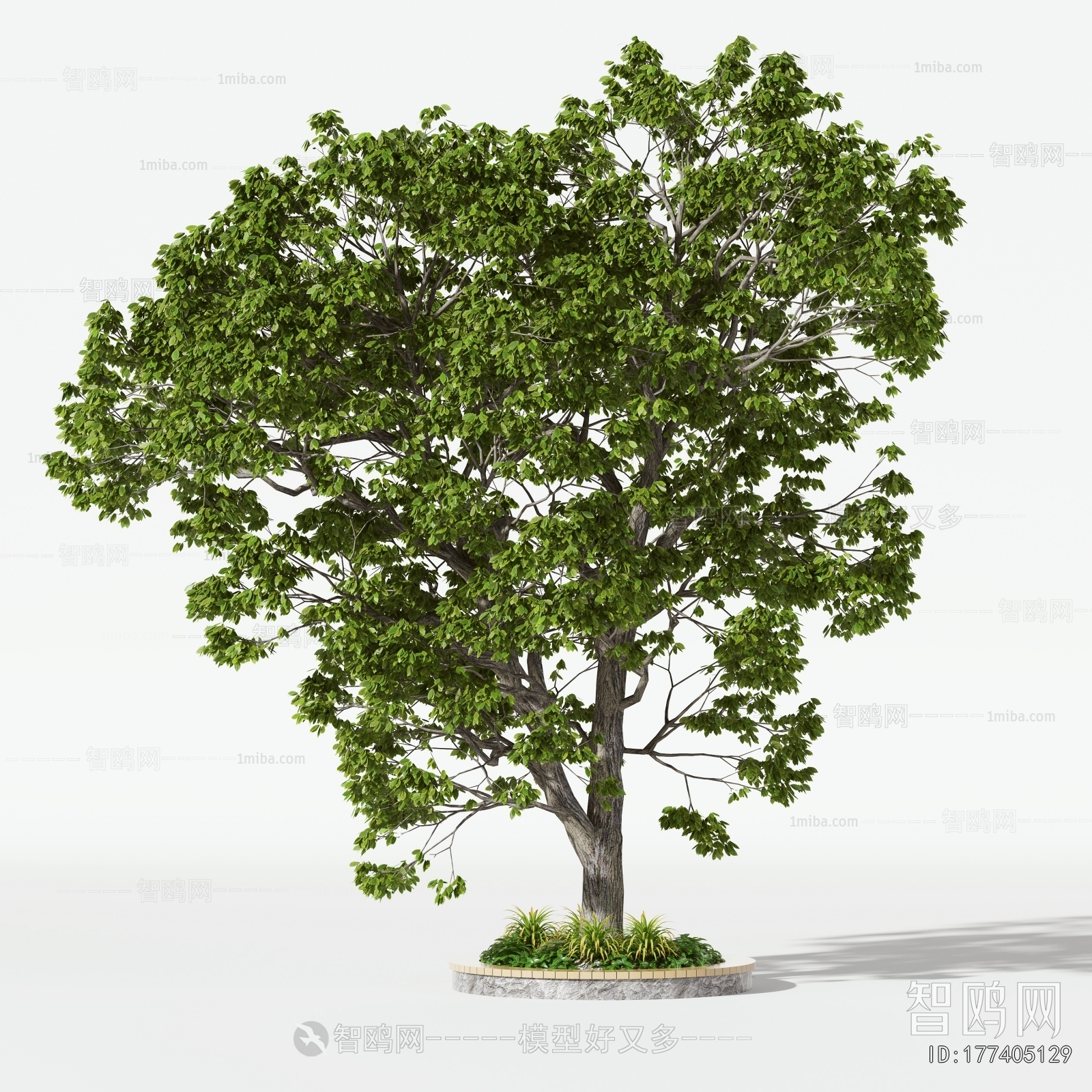 现代乔木 景观树3D模型下载