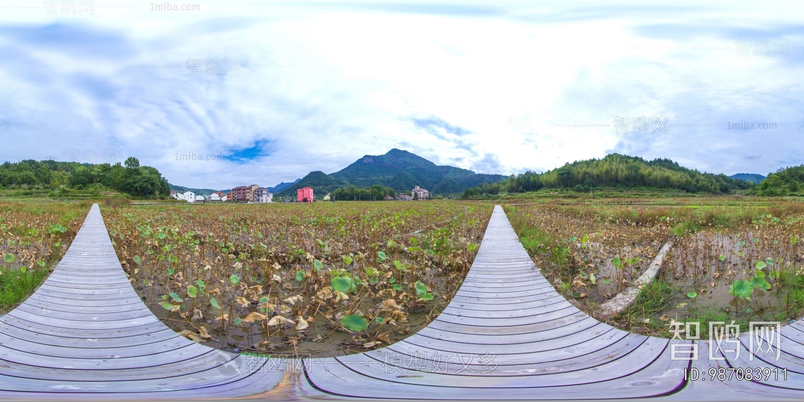 HDR农村乡镇户外全景