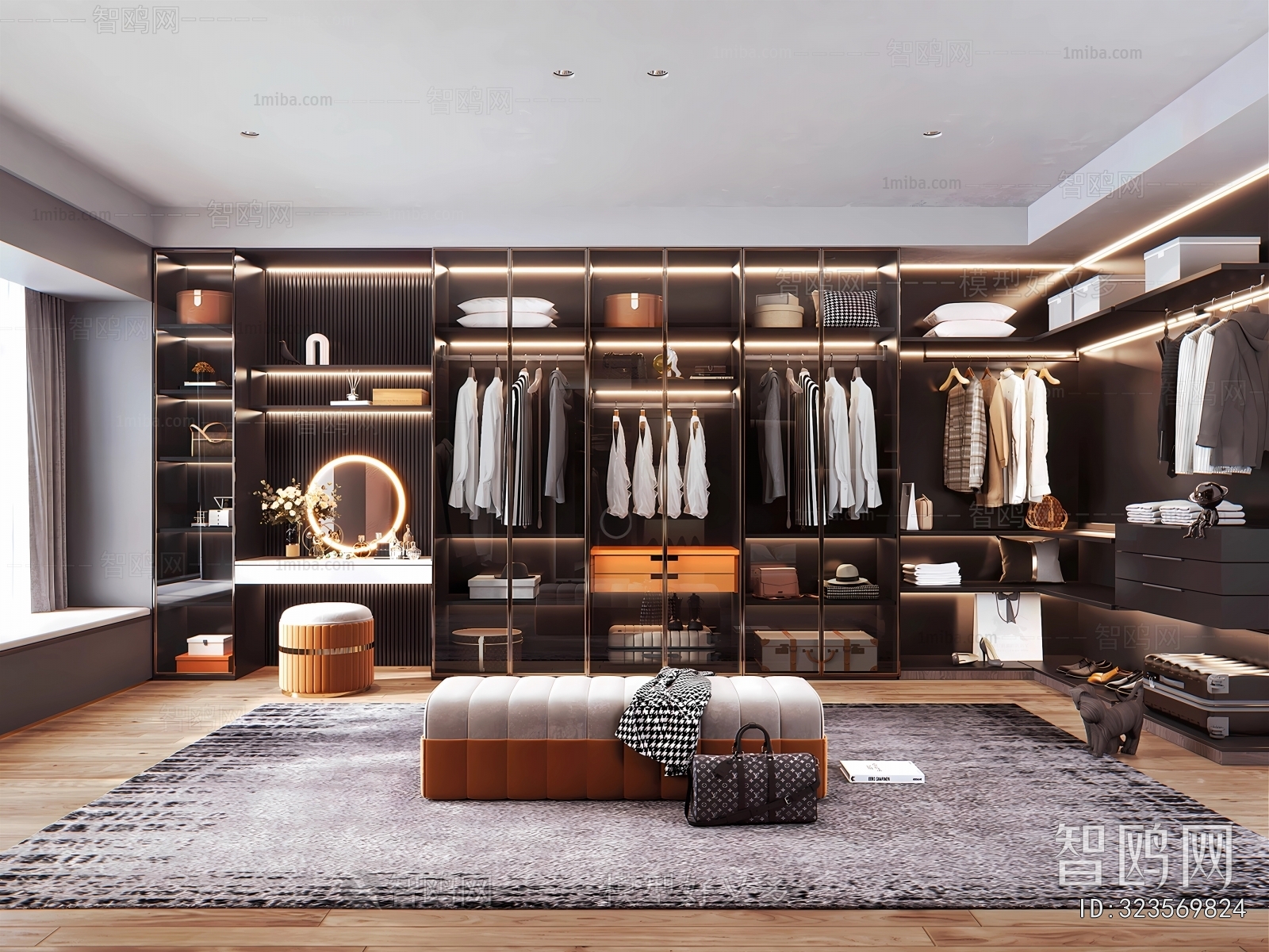 Modern Clothes Storage Area