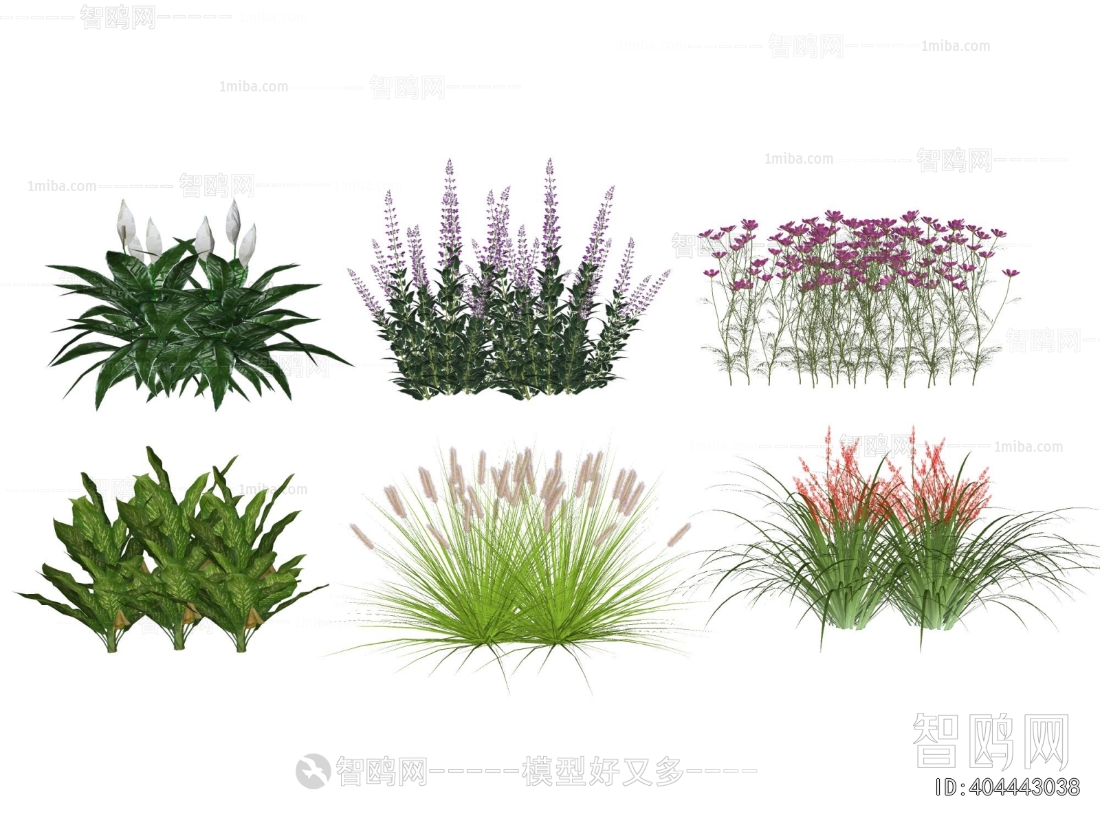 Modern Flowers And Grass