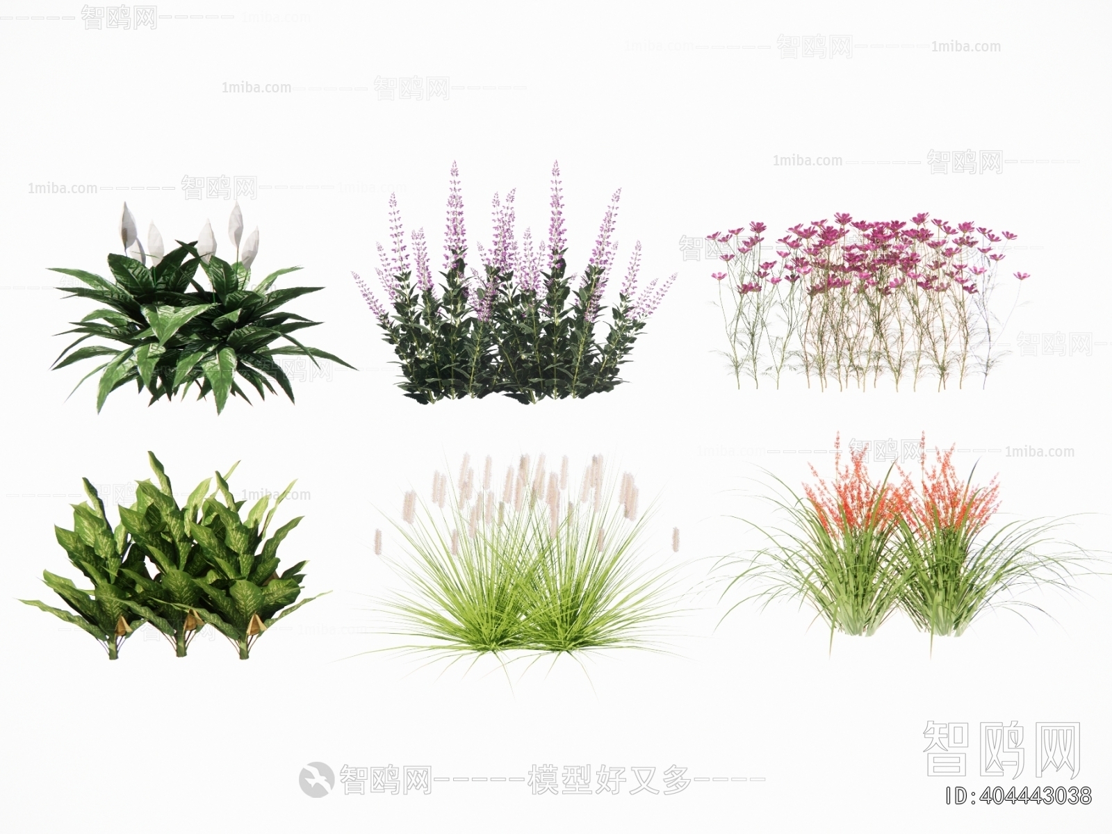 Modern Flowers And Grass