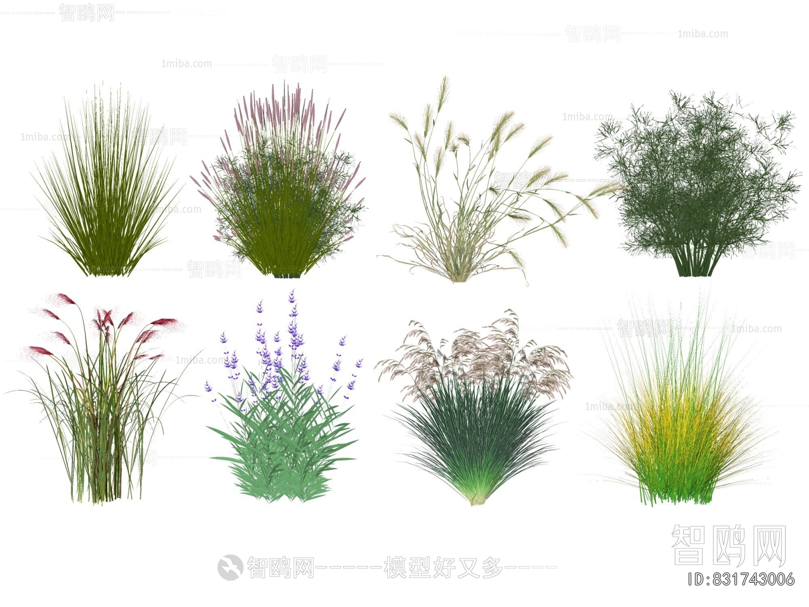 Modern Flowers And Grass