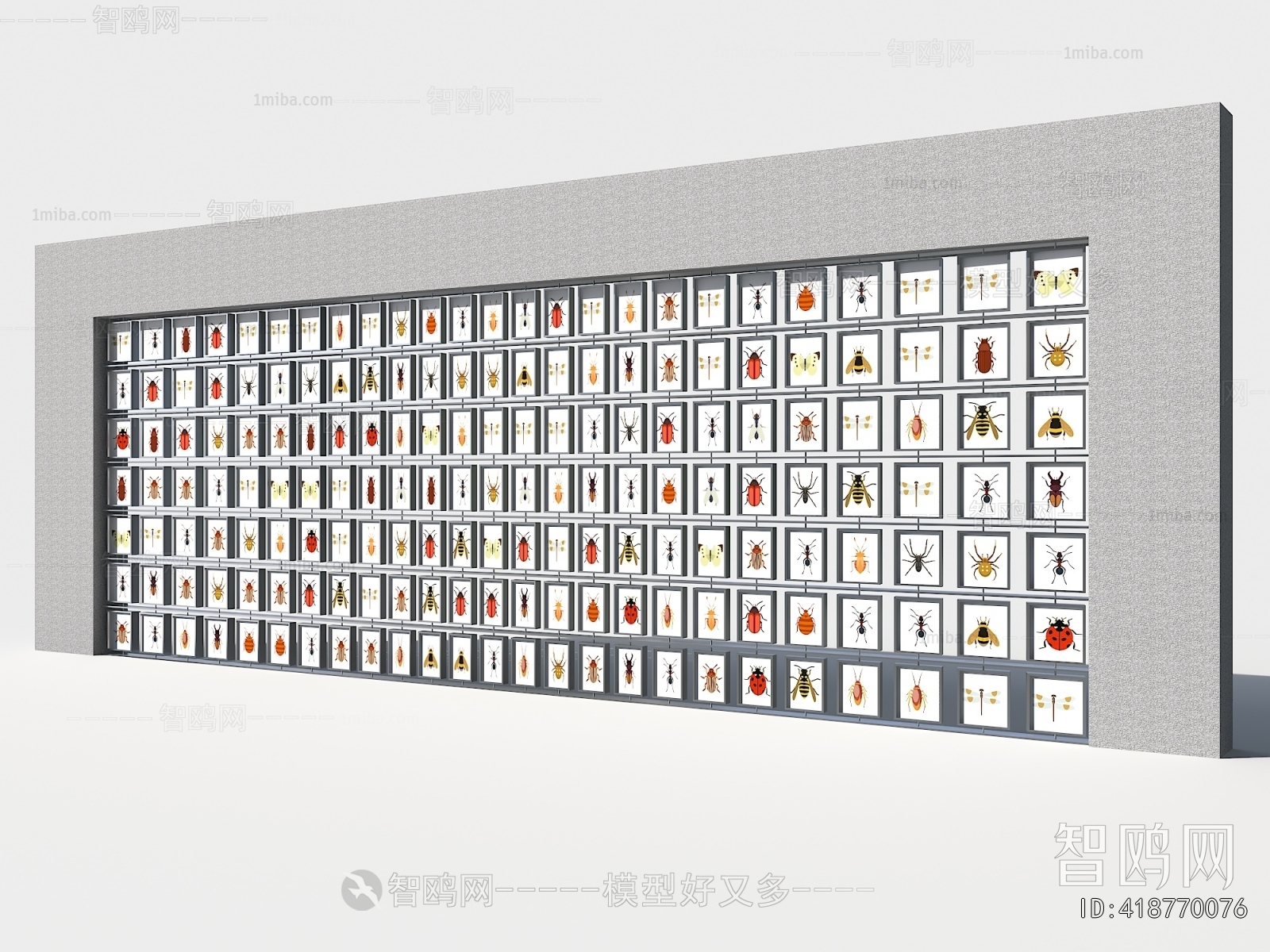 现代昆虫标本展示墙