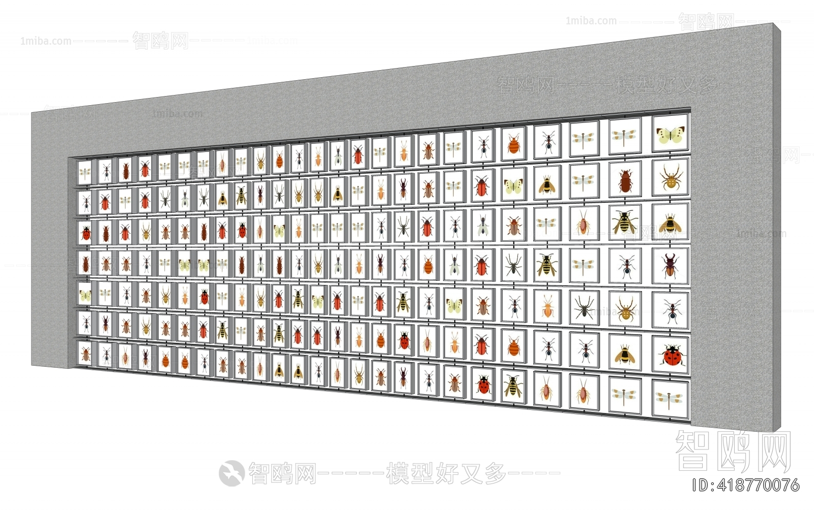 现代昆虫标本展示墙