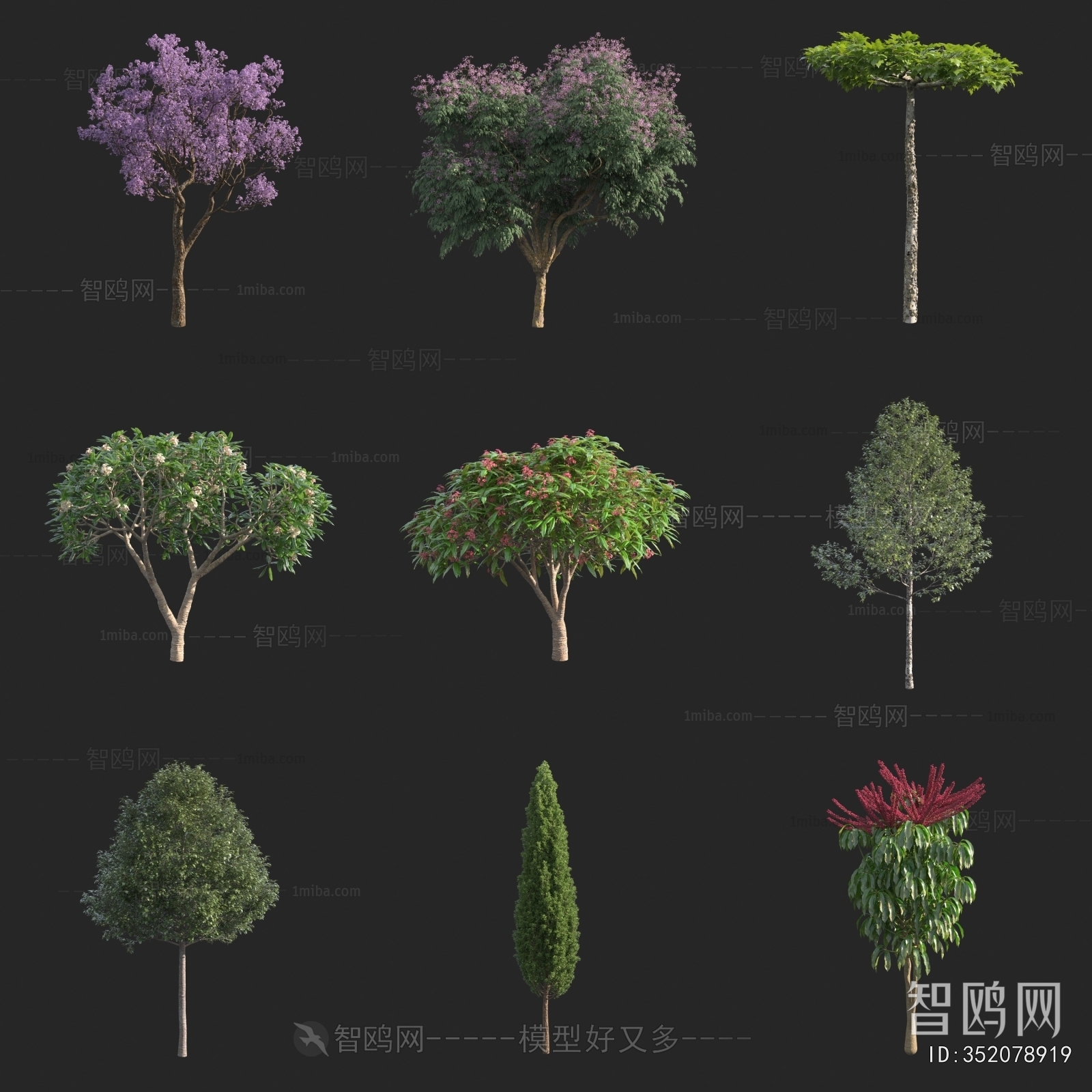 现代花树 景观树