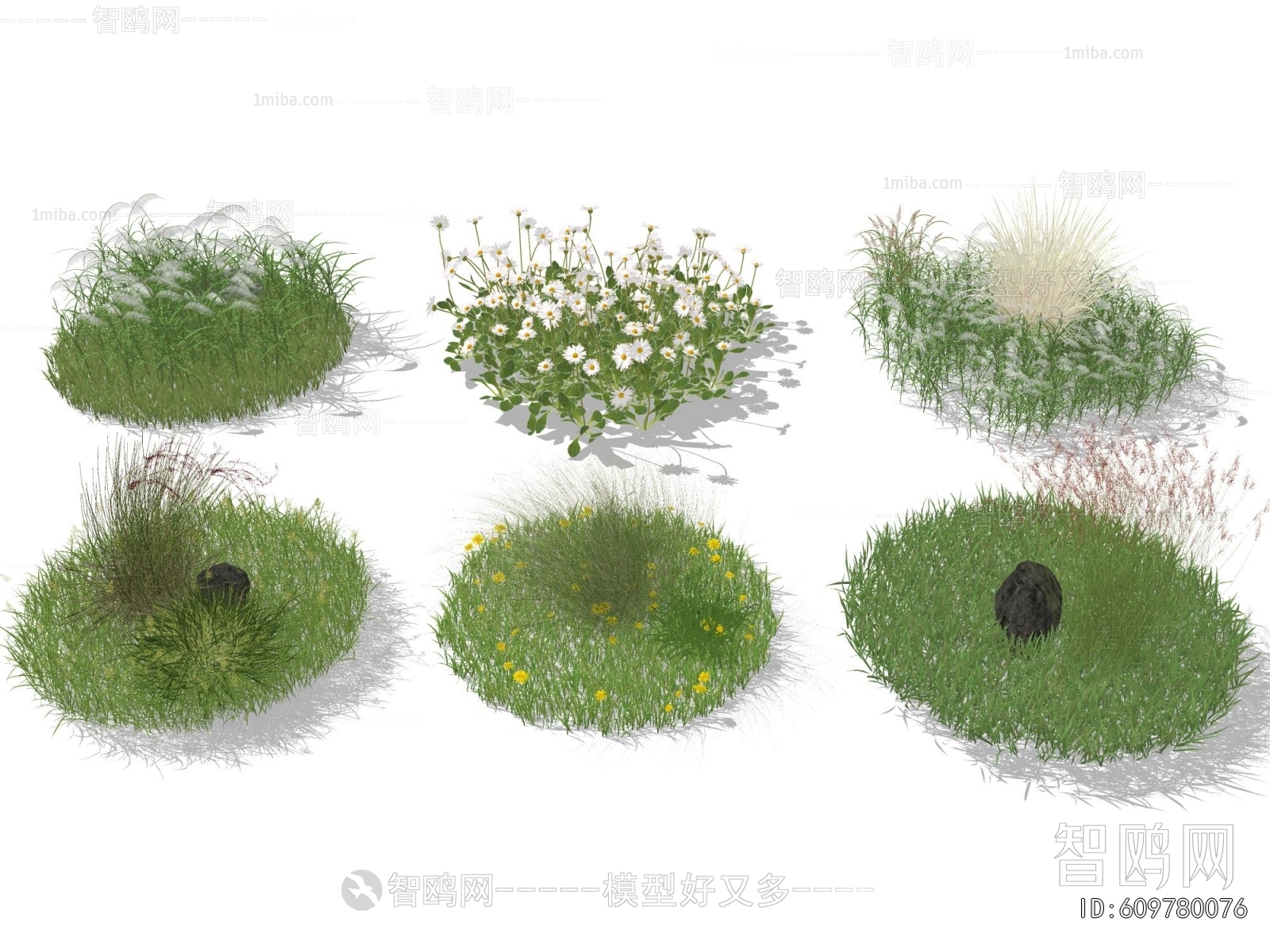 Modern Flowers And Grass