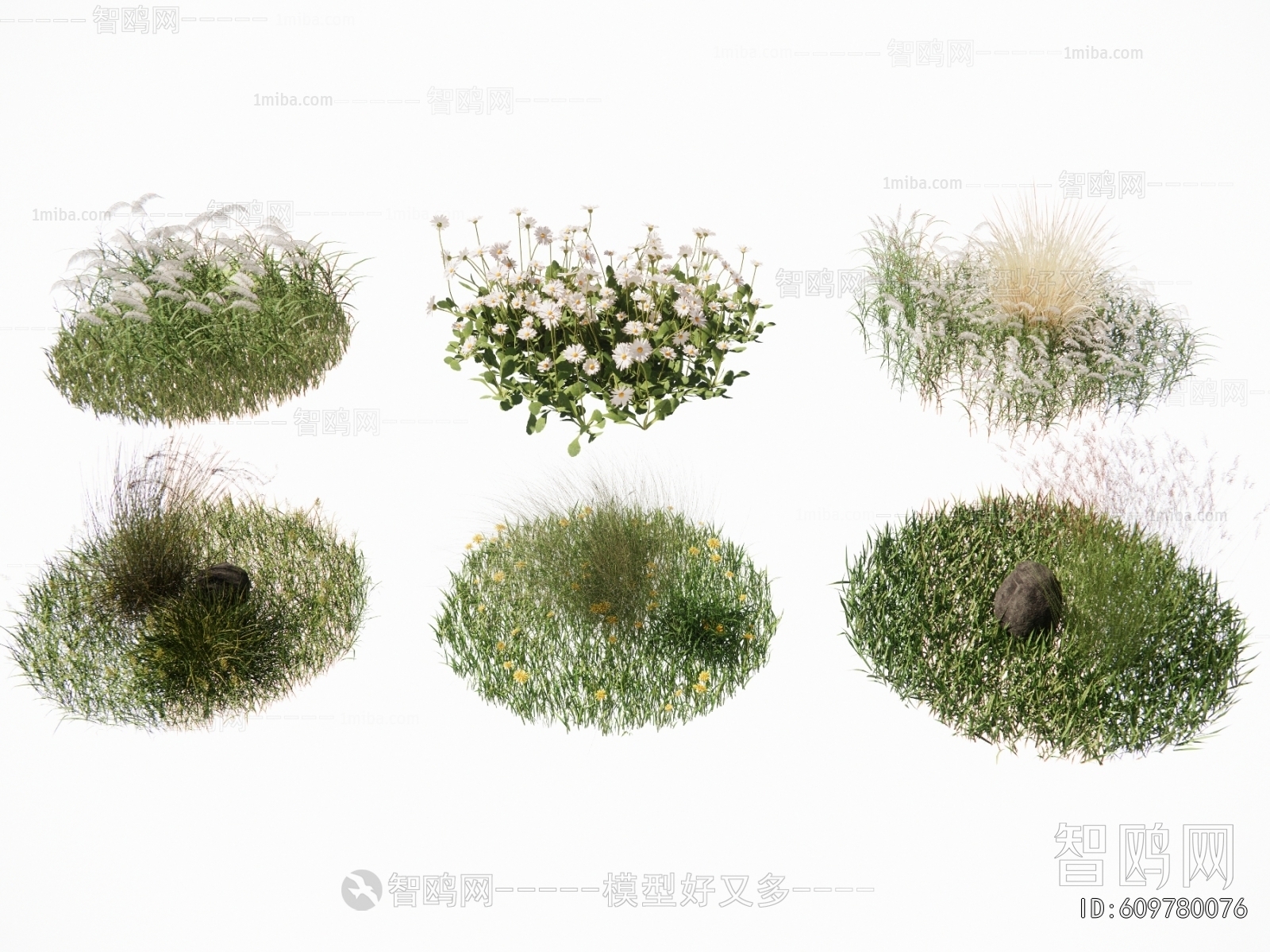 Modern Flowers And Grass