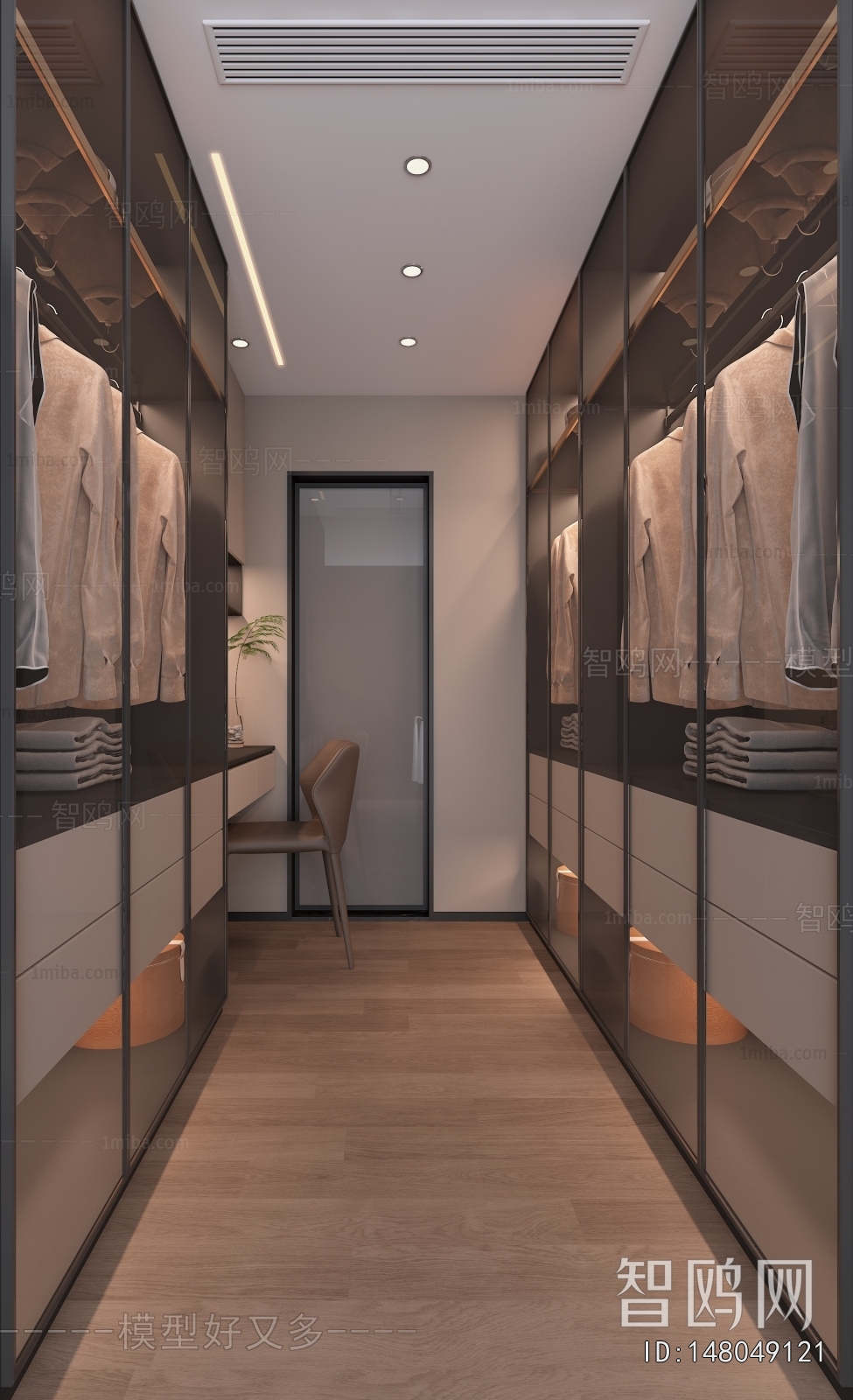 Modern Clothes Storage Area