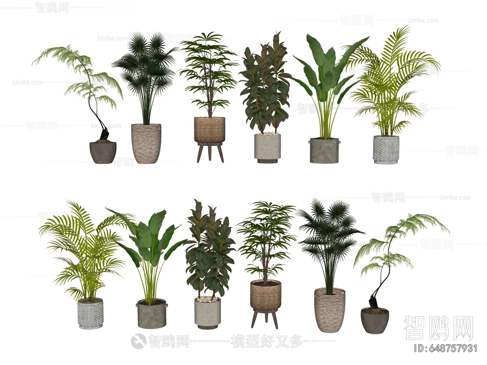 Modern Ground Green Plant Potted Plants