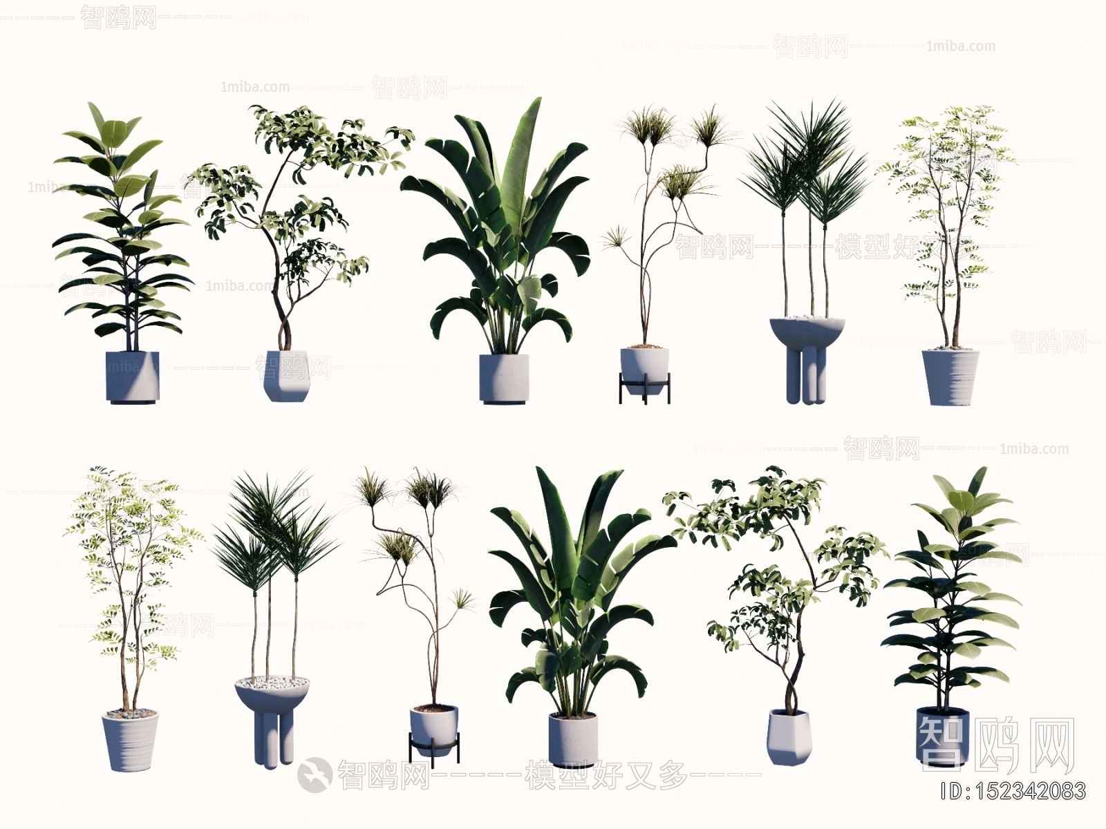 Modern Ground Green Plant Potted Plants