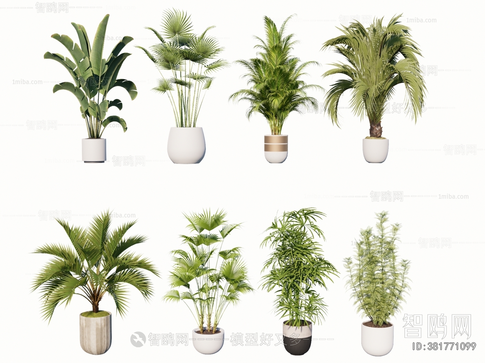 Modern Ground Green Plant Potted Plants