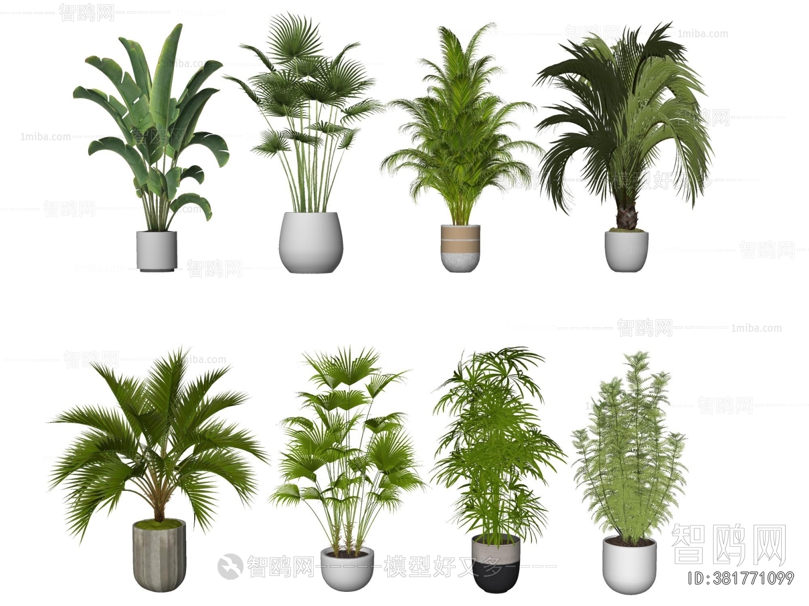 Modern Ground Green Plant Potted Plants