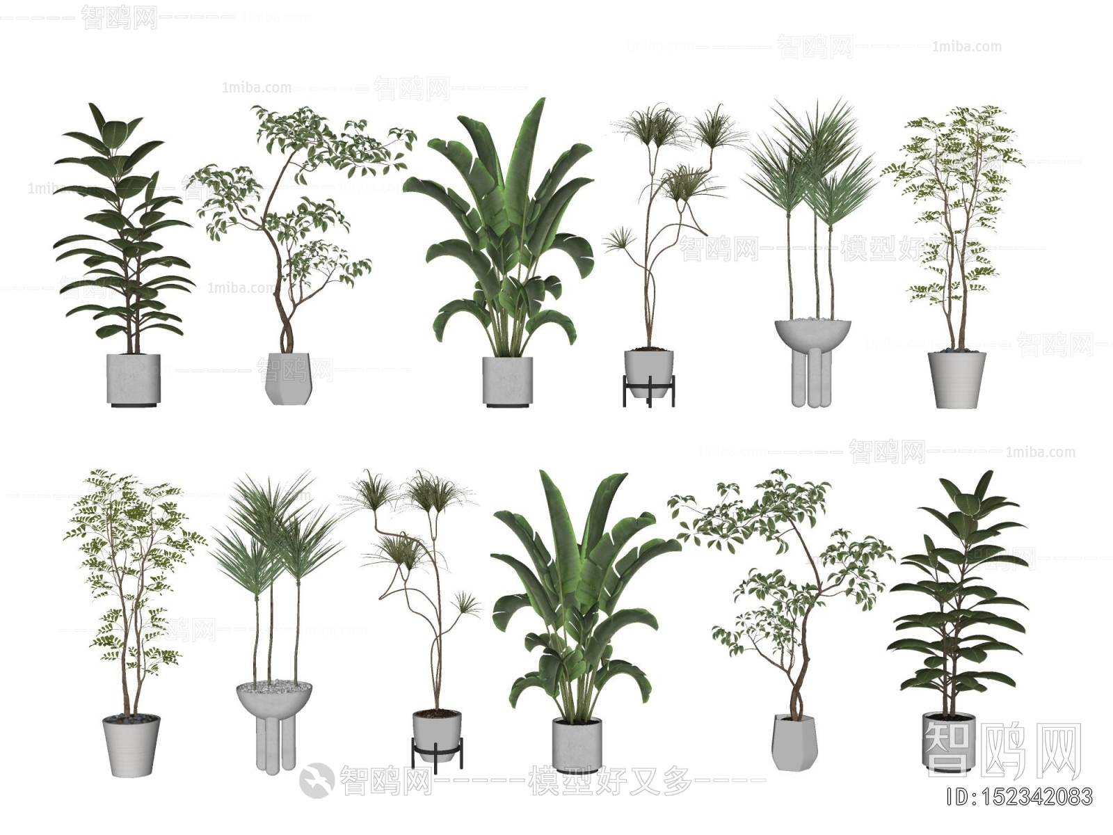 Modern Ground Green Plant Potted Plants