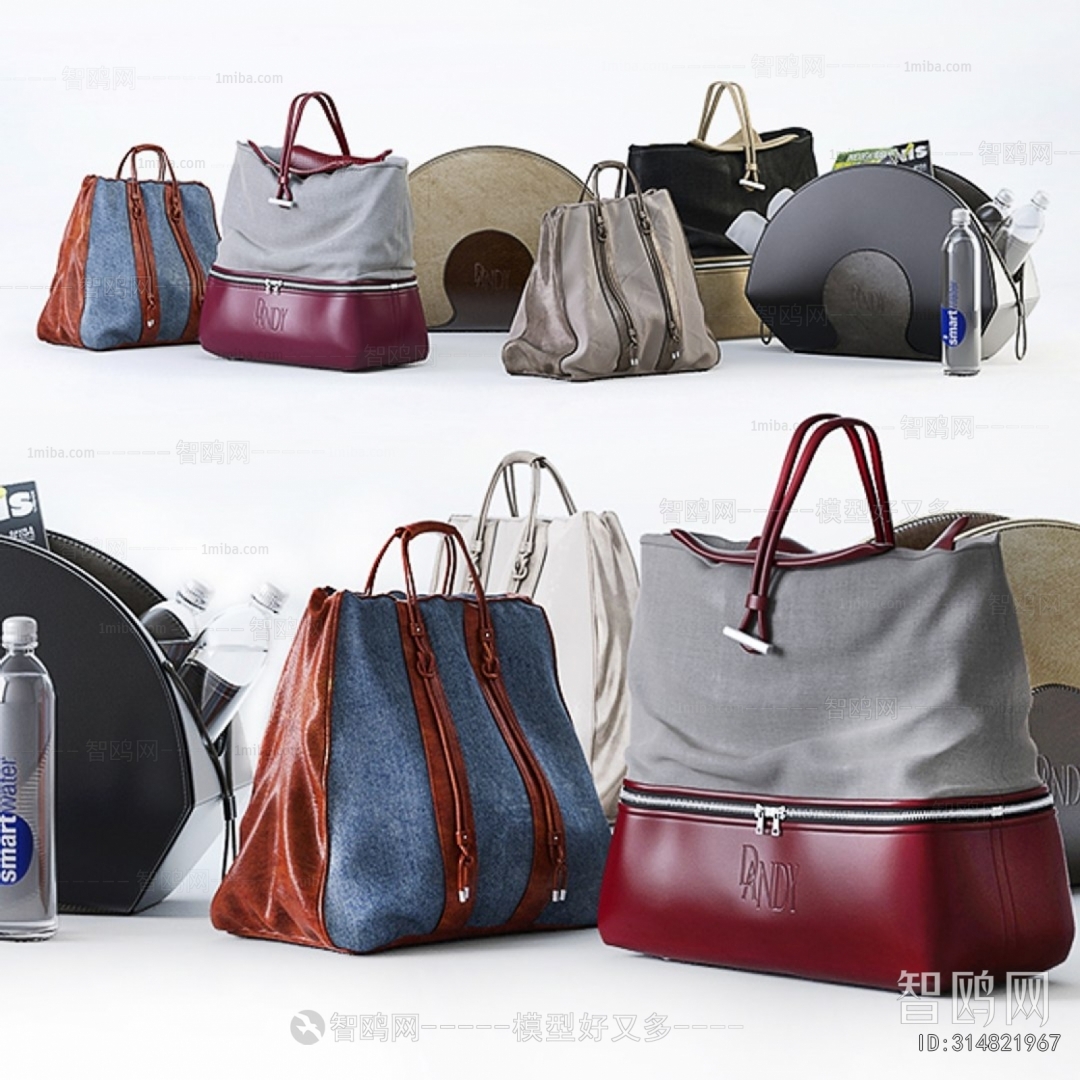 Modern Lady's Bag