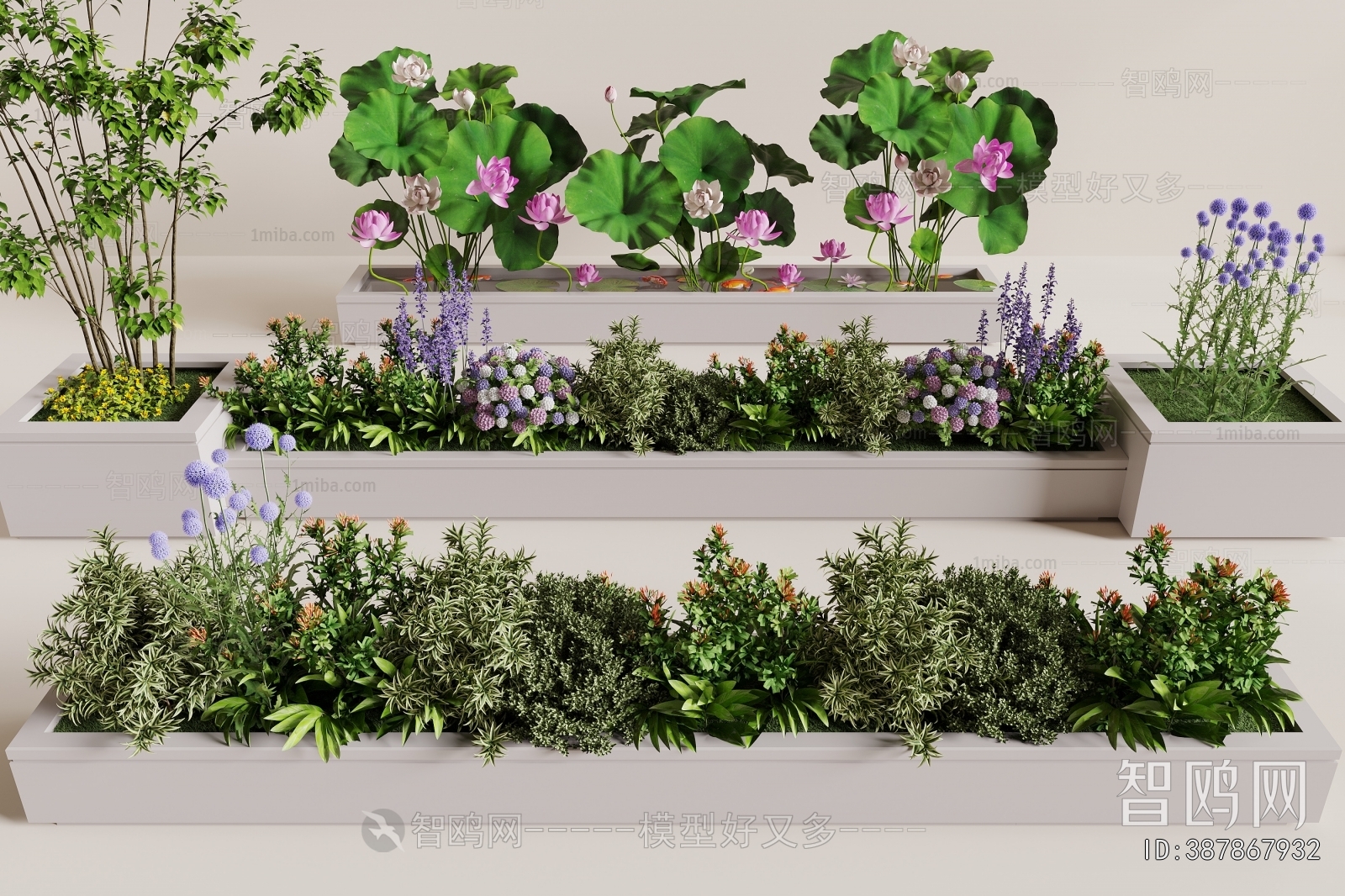 Modern Flower Bed, Flower Bowl, Flower Box