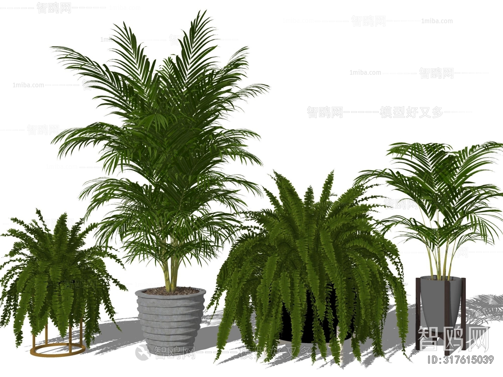 Modern Ground Green Plant Potted Plants