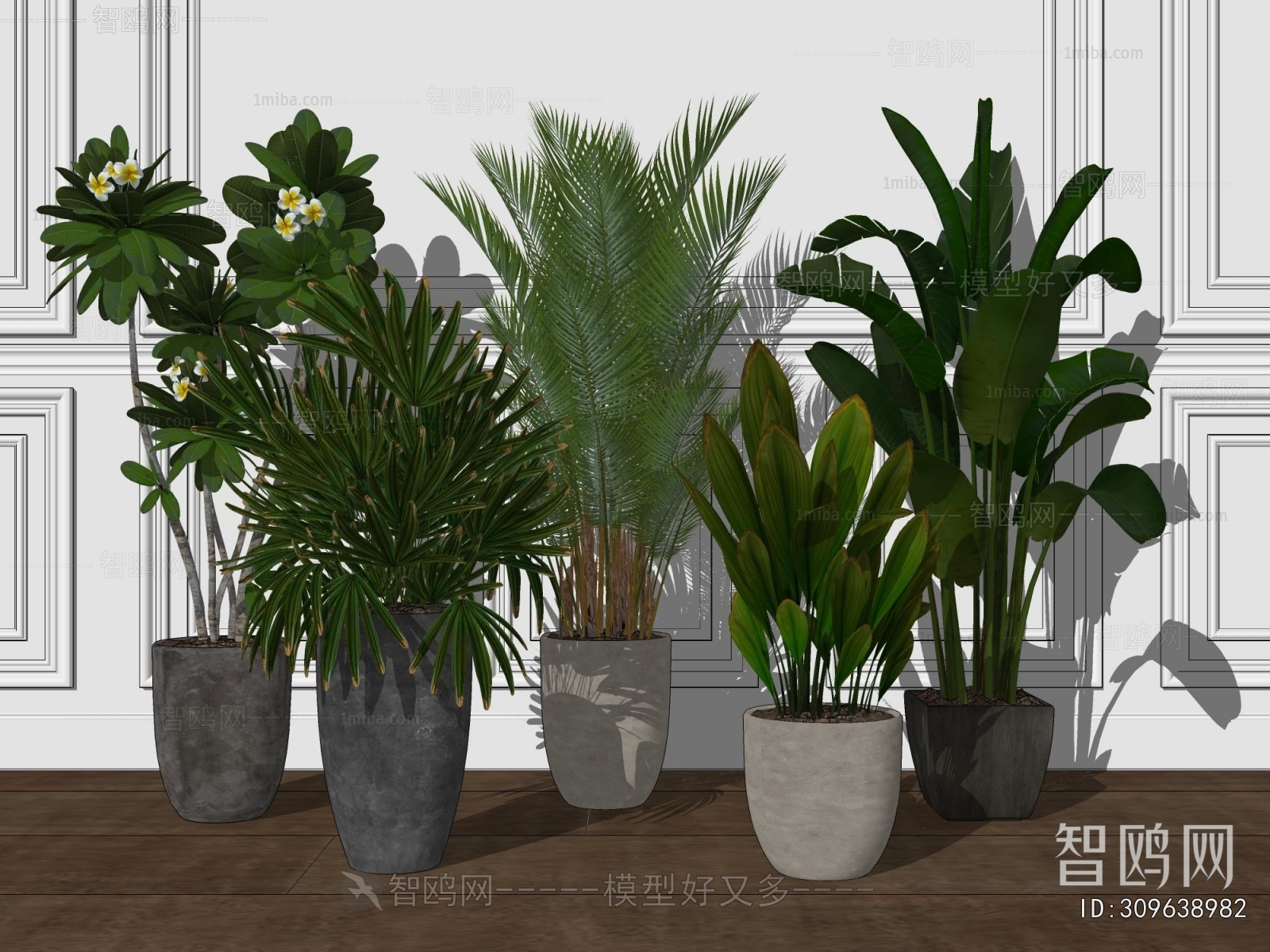 Modern Ground Green Plant Potted Plants