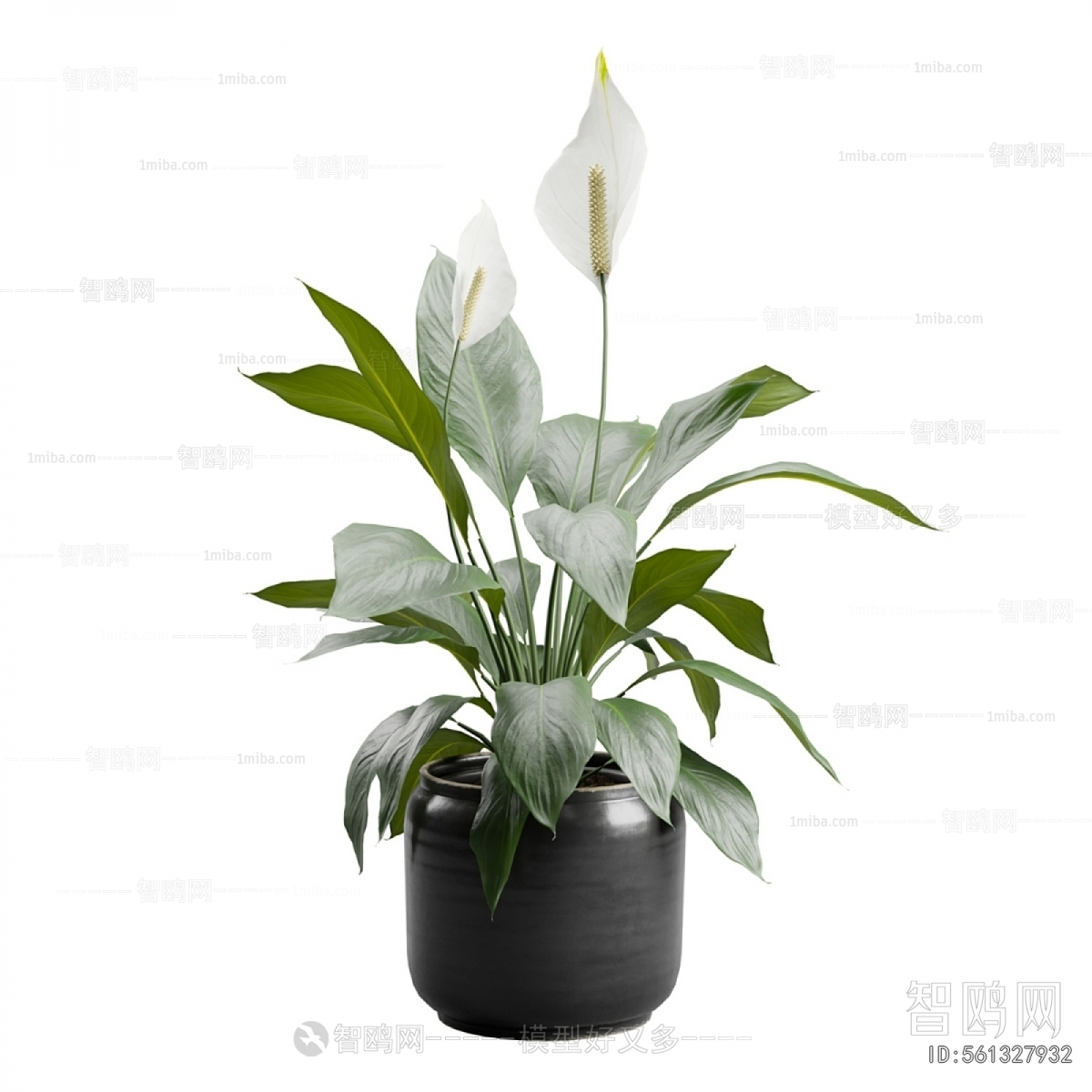 Modern Potted Green Plant