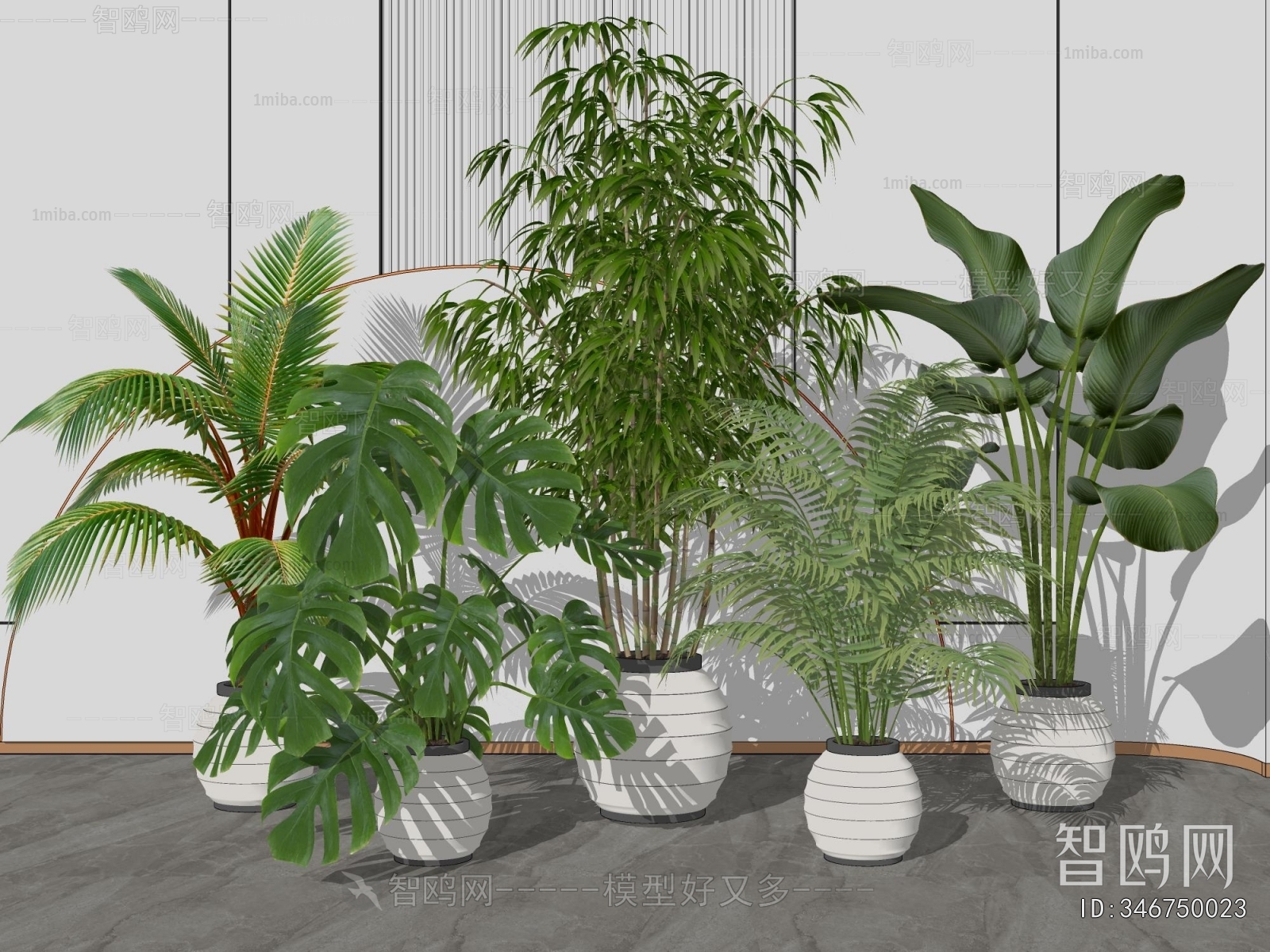 Modern Ground Green Plant Potted Plants