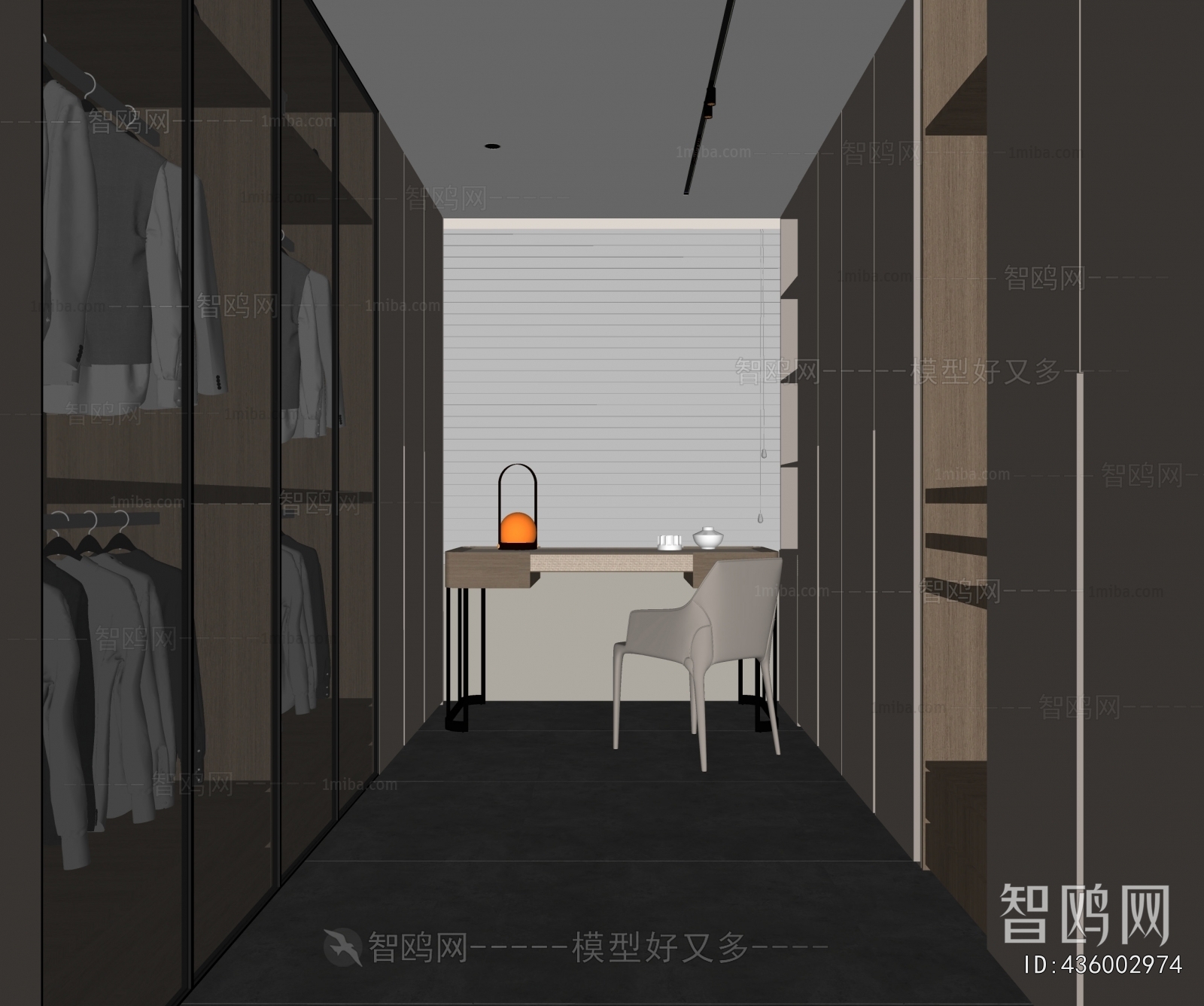 Modern Clothes Storage Area