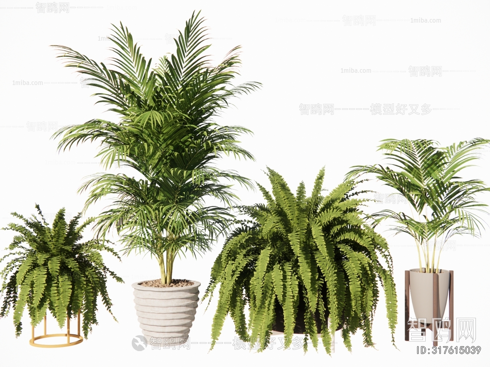 Modern Ground Green Plant Potted Plants