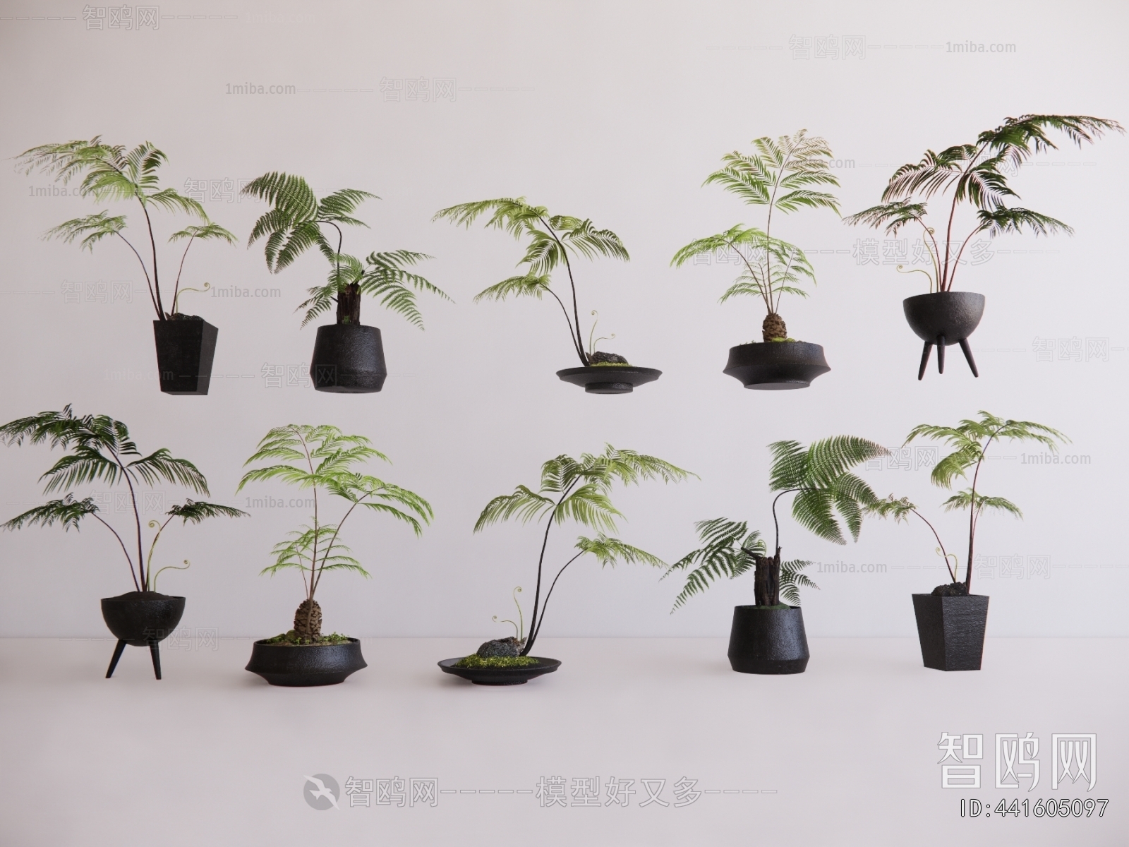 现代落地蕨类植物盆栽