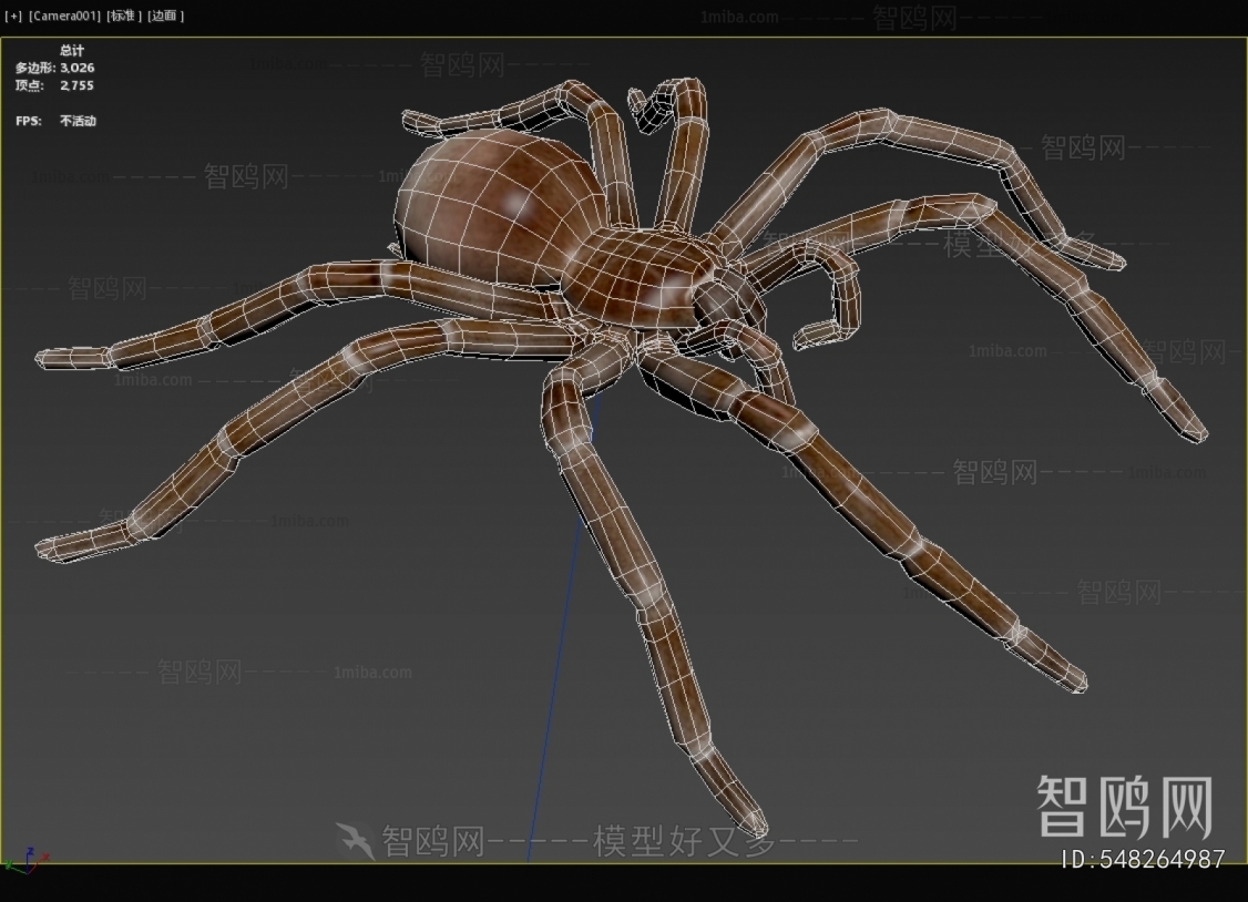 现代歌利亚吃鸟蜘蛛