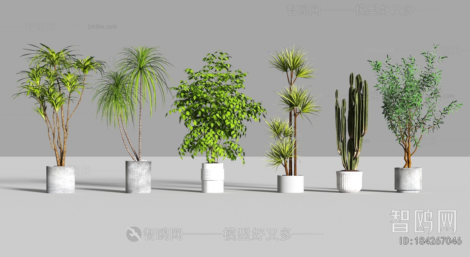 Modern Ground Green Plant Potted Plants