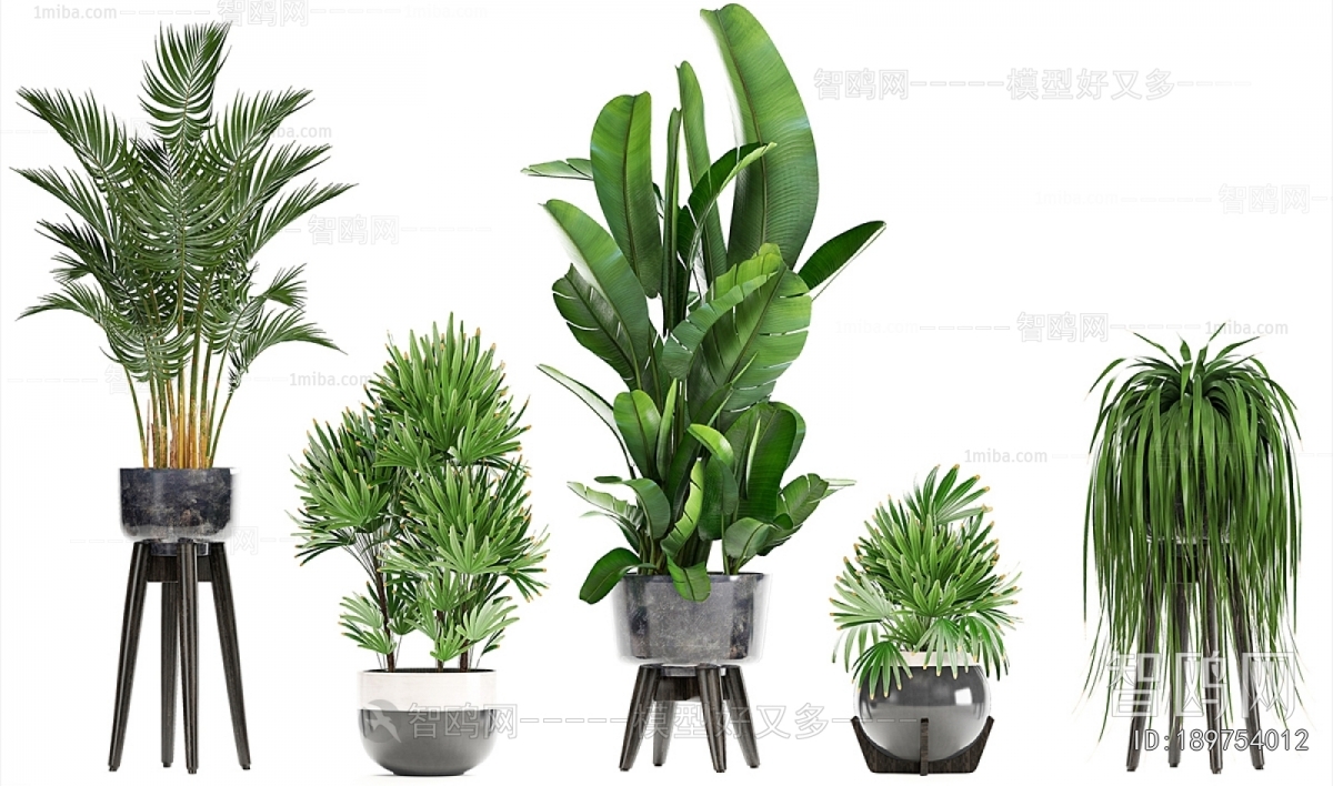 Modern Ground Green Plant Potted Plants