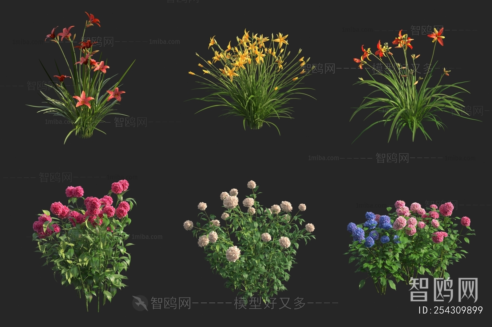 Modern Flowers And Grass