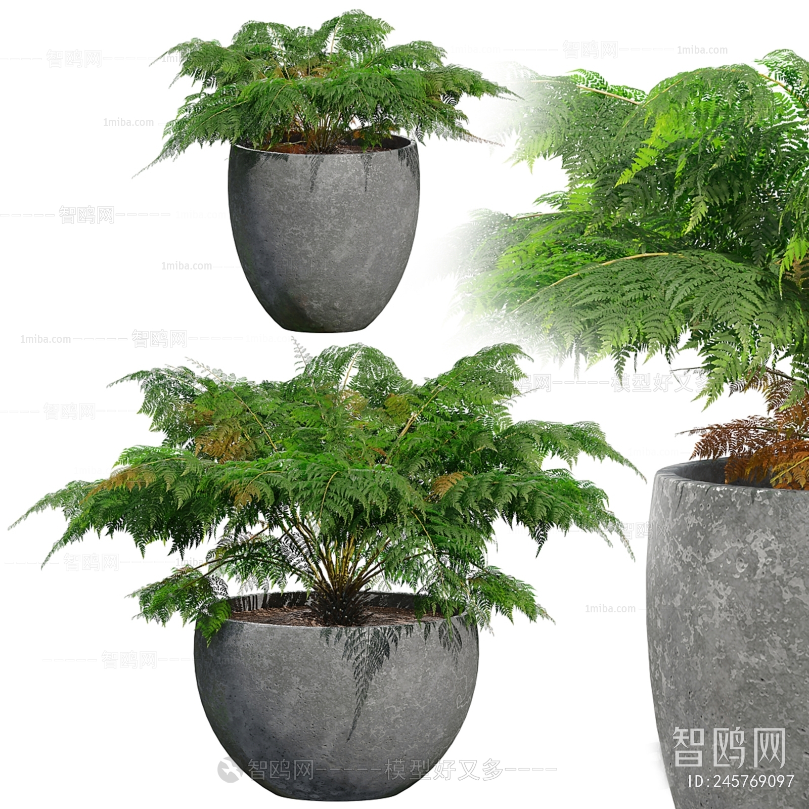 Modern Ground Green Plant Potted Plants