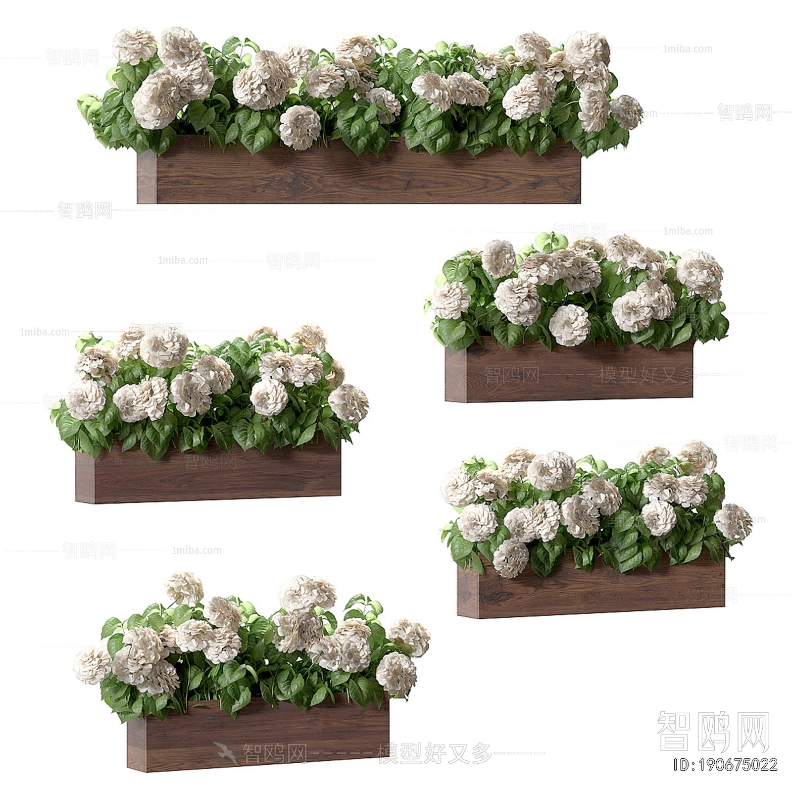 Modern Flower Bed, Flower Bowl, Flower Box