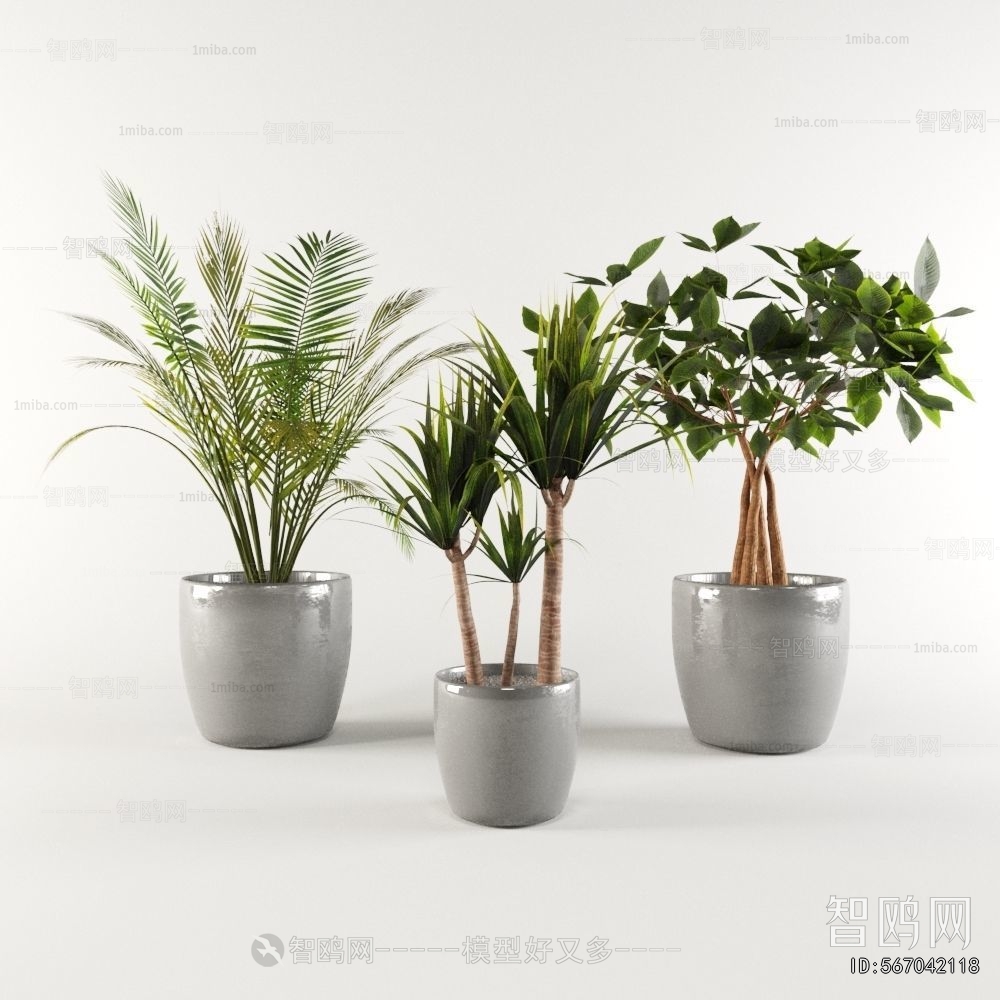 Modern Ground Green Plant Potted Plants