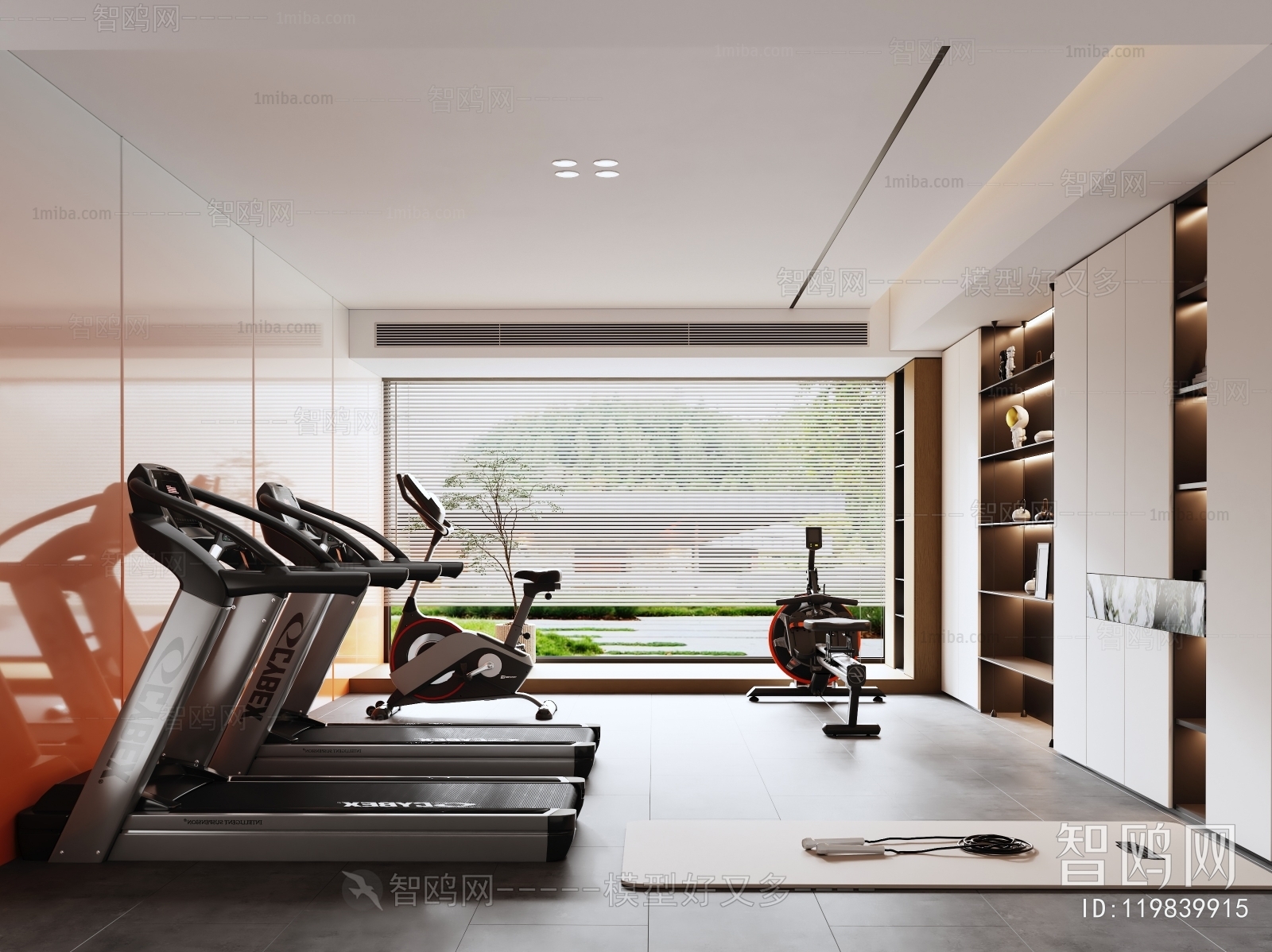 Modern Home Fitness Room