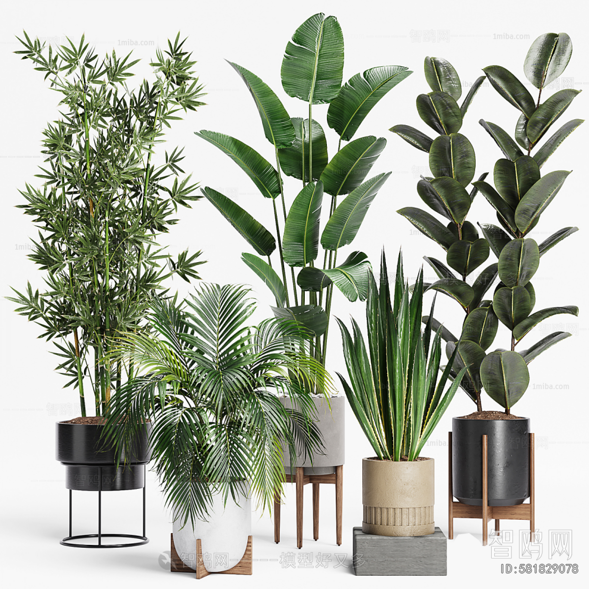 Modern Ground Green Plant Potted Plants