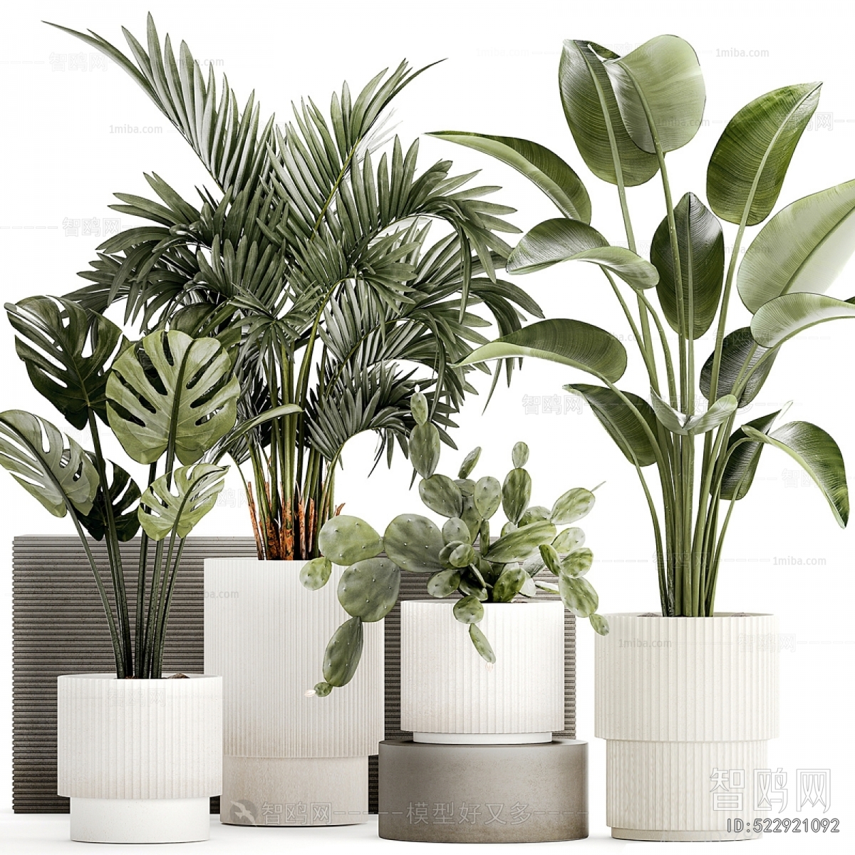 Modern Ground Green Plant Potted Plants